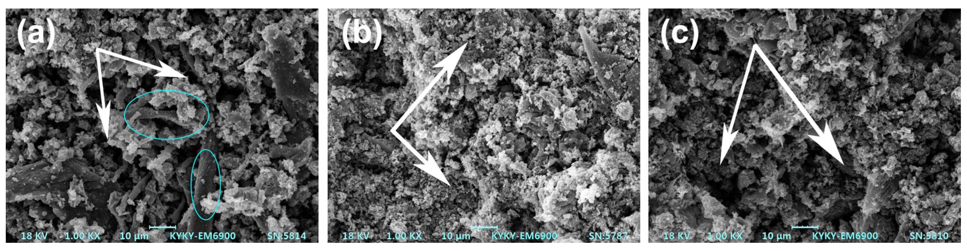 Polymers 15 00893 g004