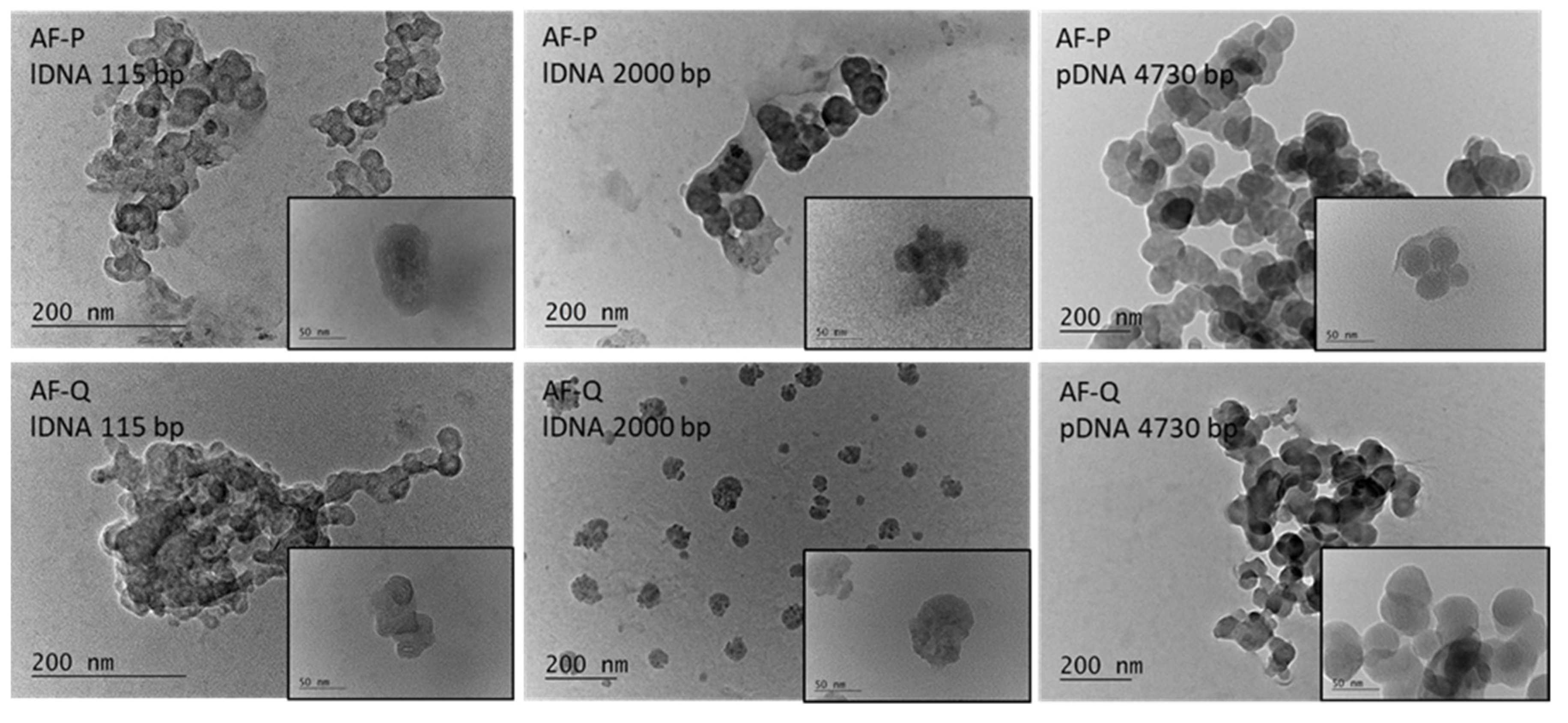 Polymers 15 00894 g004 Polymers 15 00894 g004