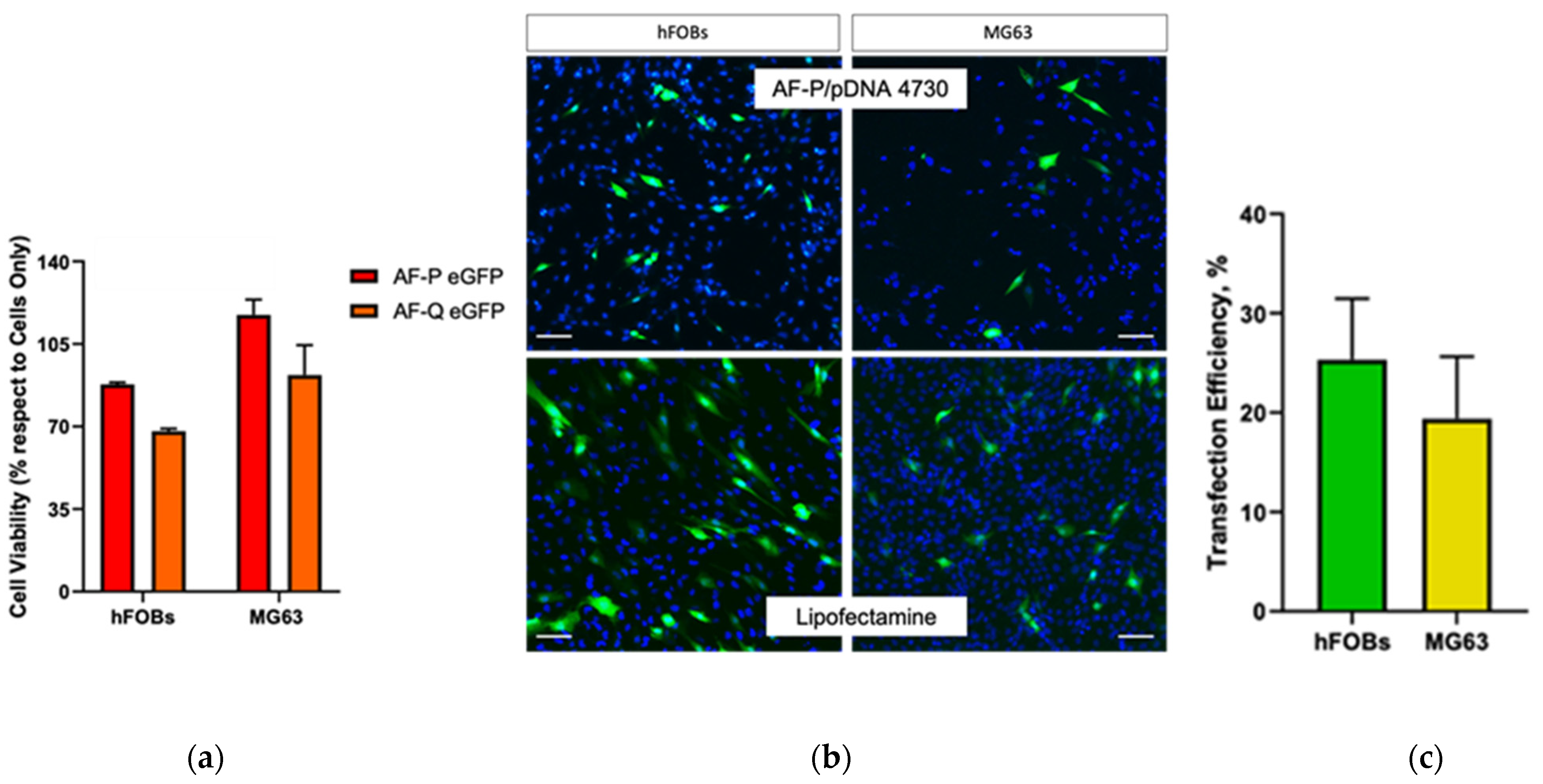 Polymers 15 00894 g008 Polymers 15 00894 g008