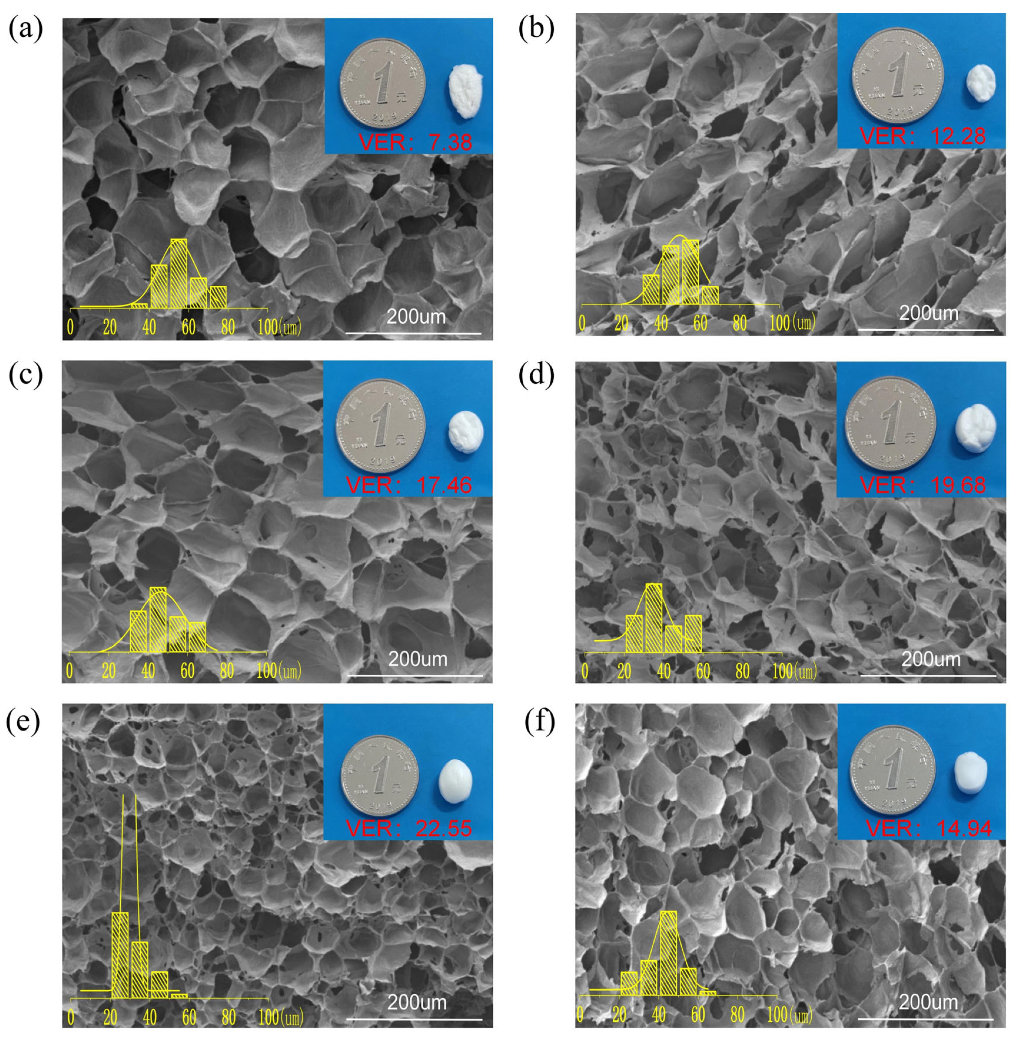 Polymers 15 00895 g005 Polymers 15 00895 g005