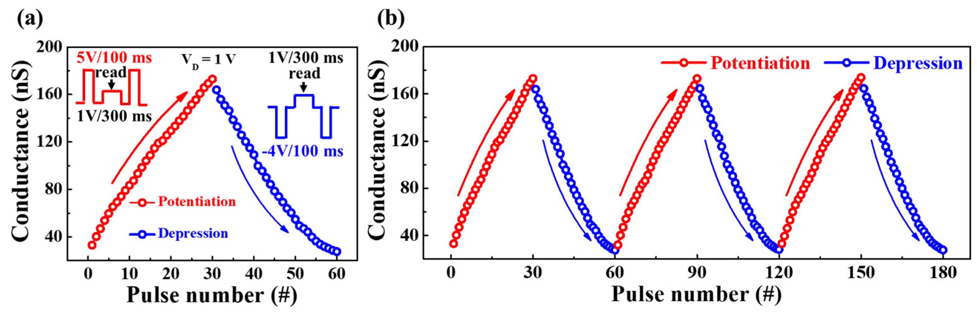 Polymers 15 00896 g007