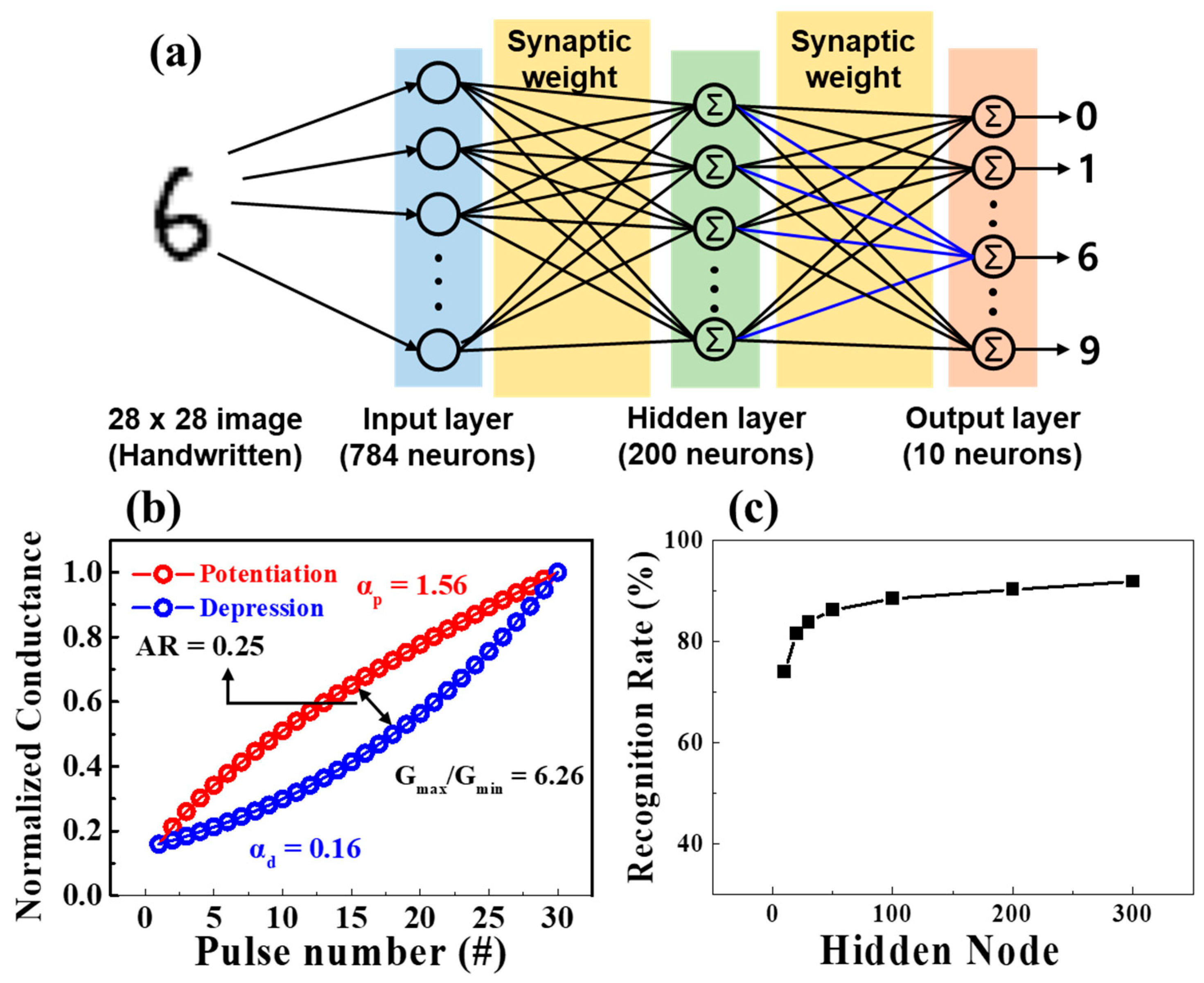 Polymers 15 00896 g008