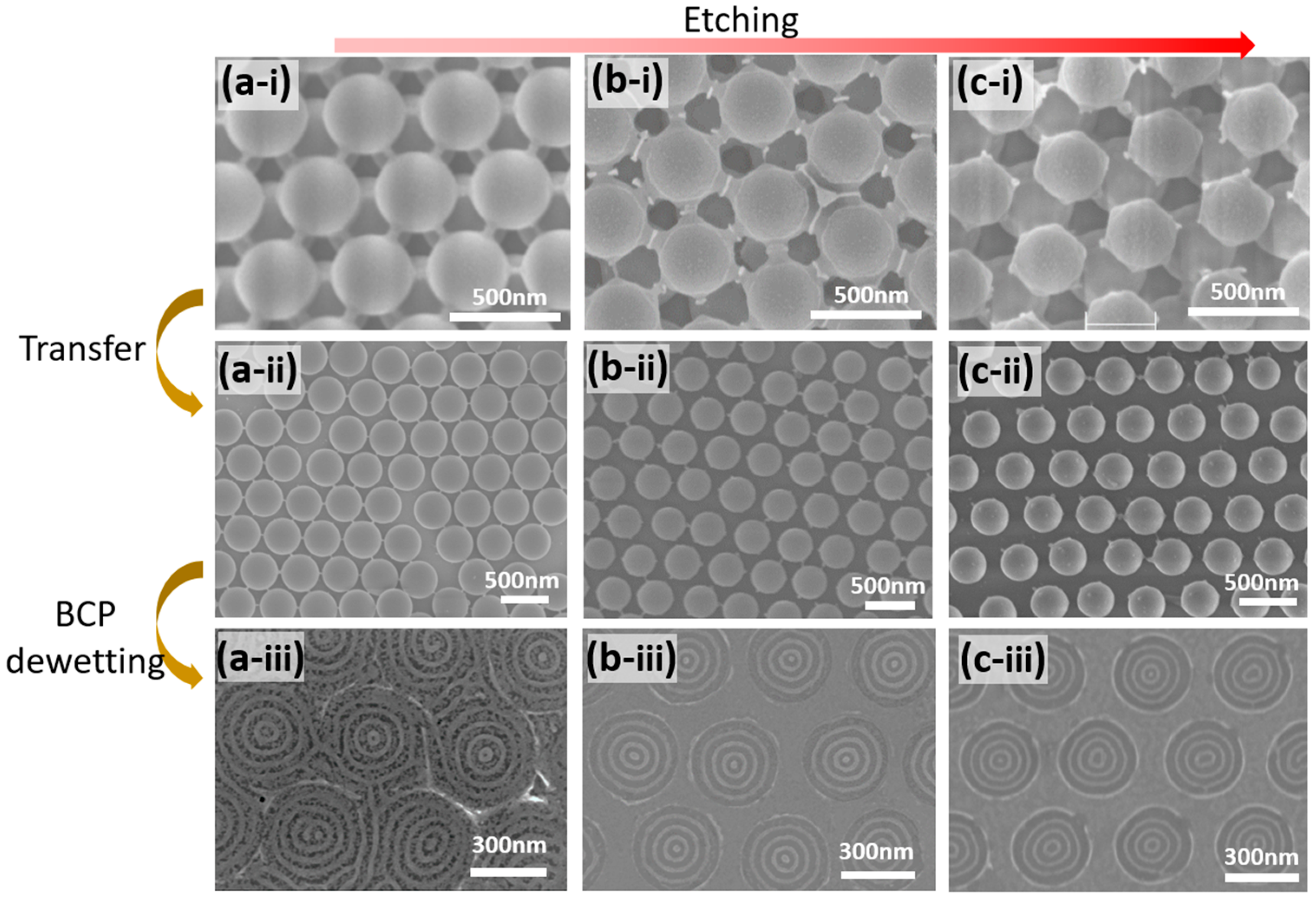 Polymers 15 00897 g004 Polymers 15 00897 g004