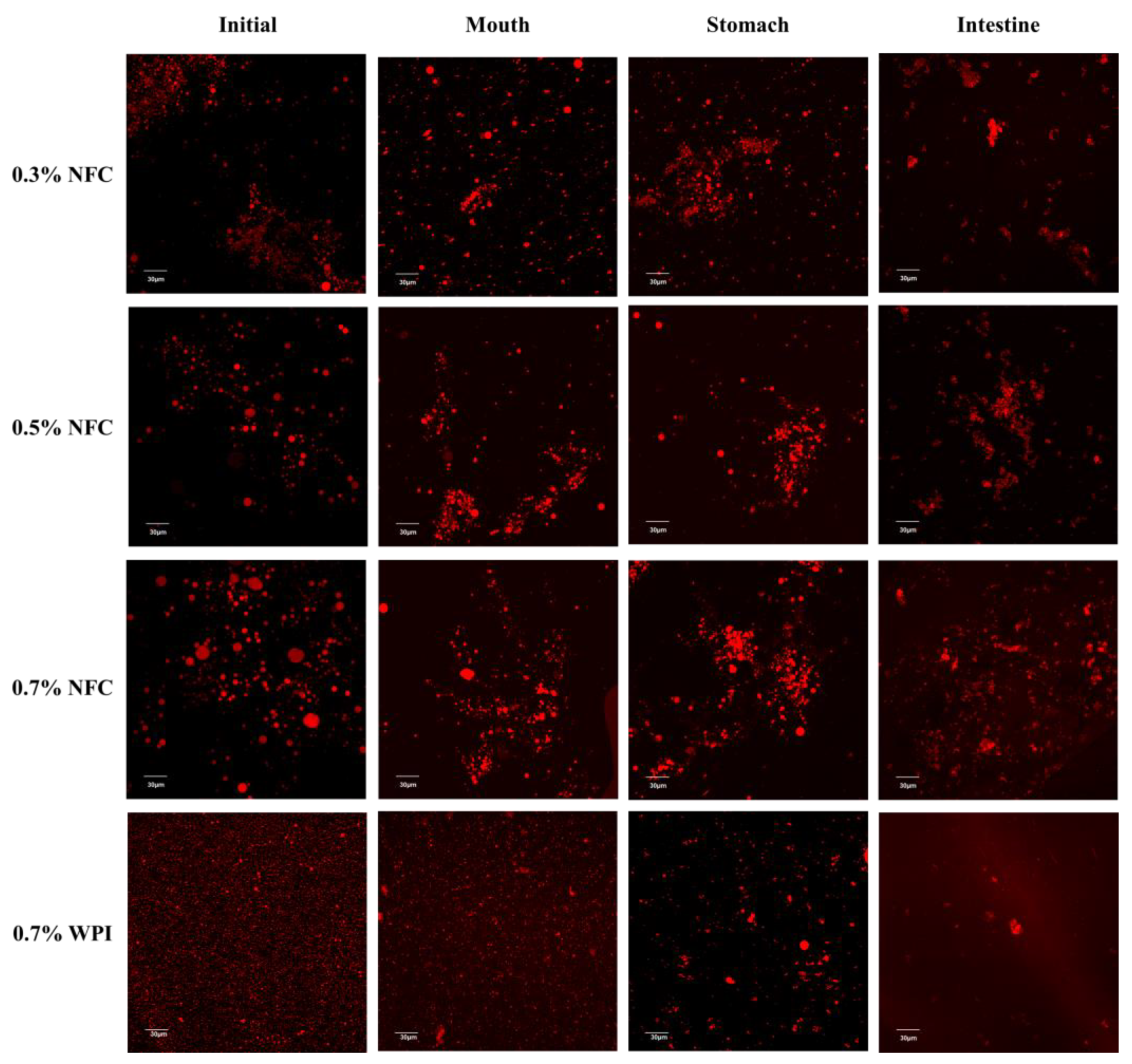 Polymers 15 00901 g004 Polymers 15 00901 g004