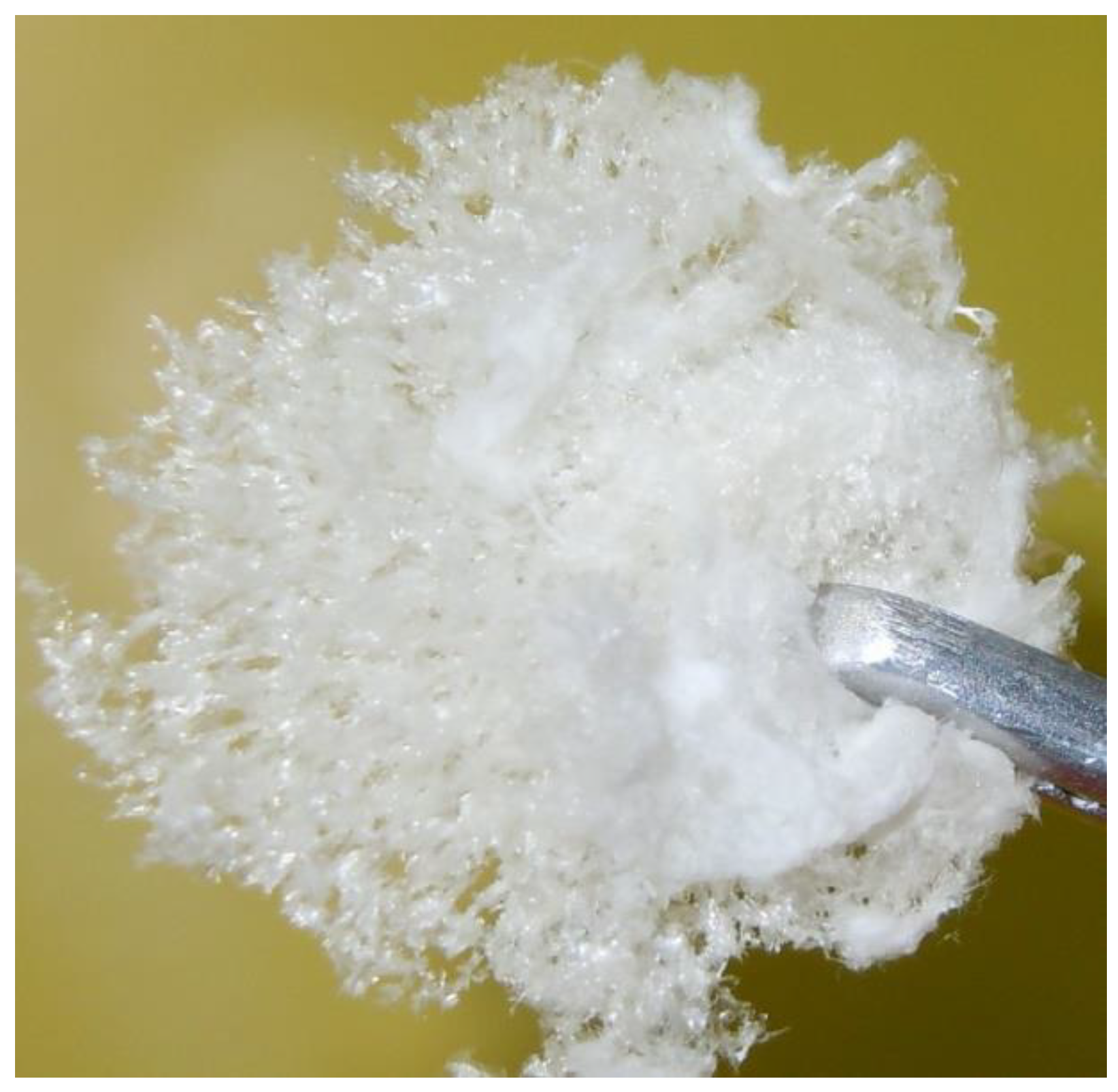 Polymers 15 00904 g005 550