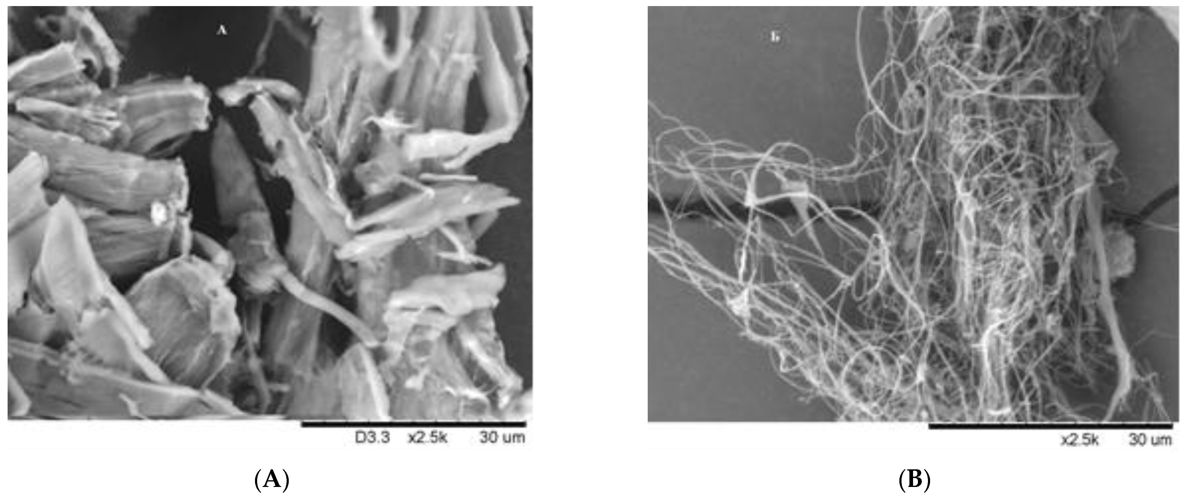 Polymers 15 00904 g008 550
