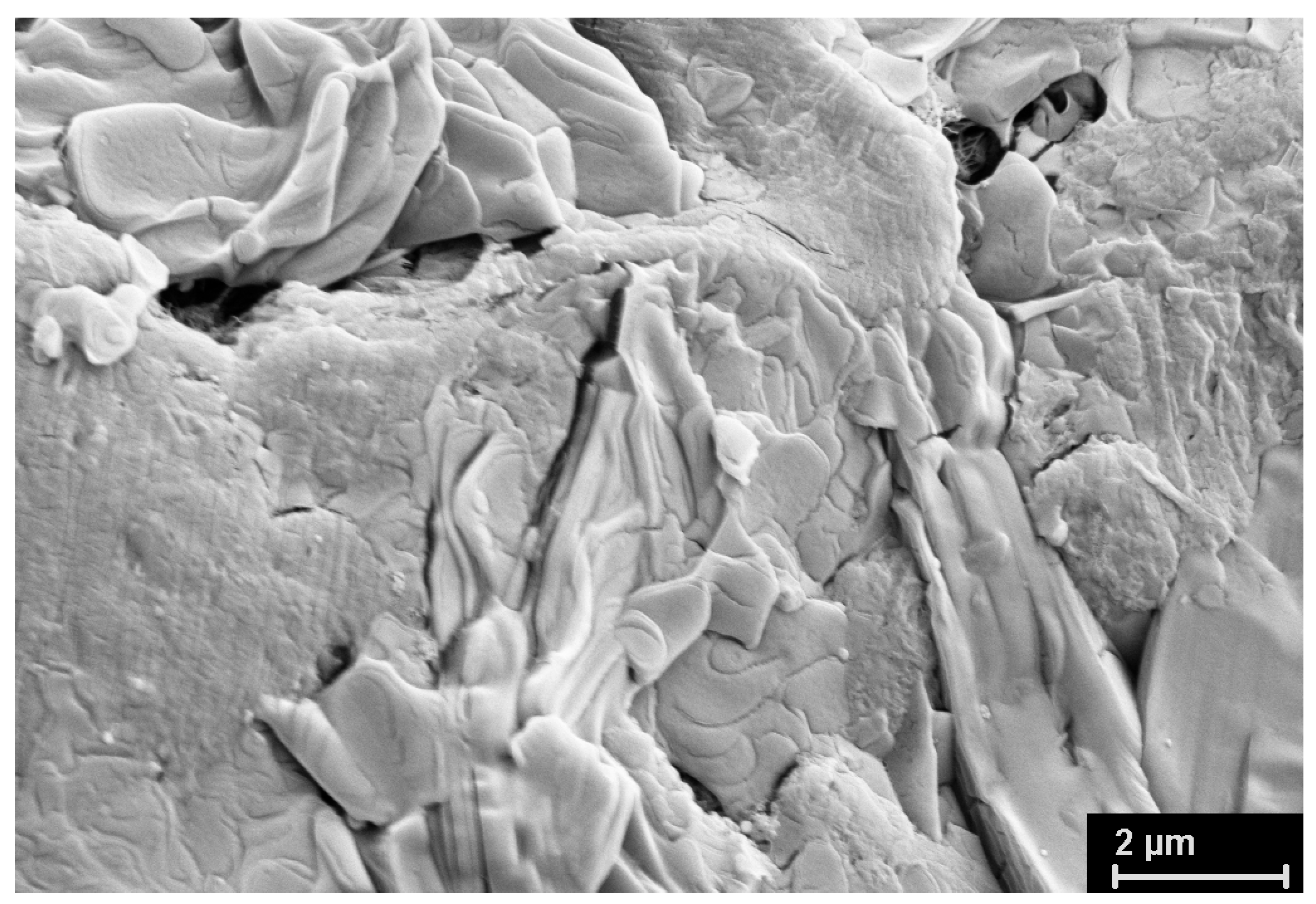 Polymers 15 00906 g012