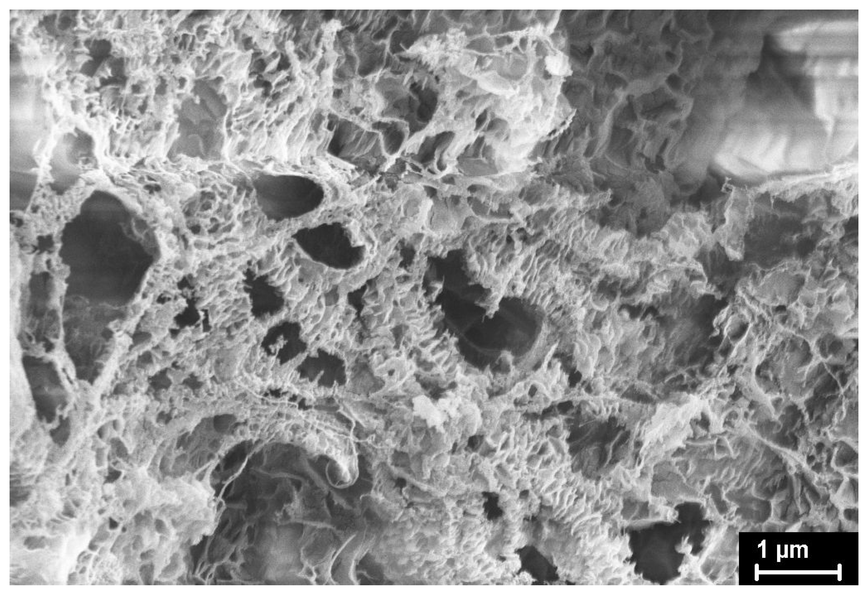 Polymers 15 00906 g016