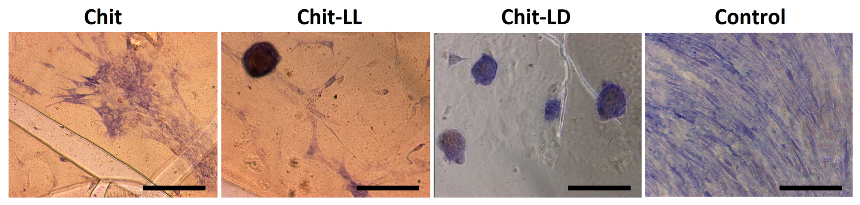 Polymers 15 00907 g009