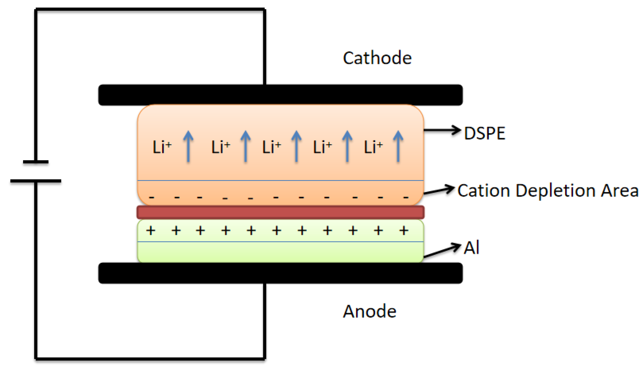 Polymers 15 00913 g002 550