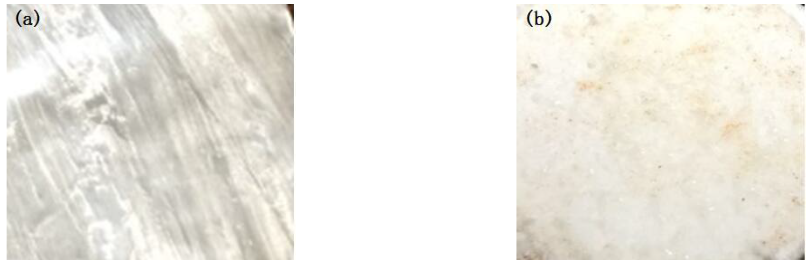 Polymers 15 00913 g011 550