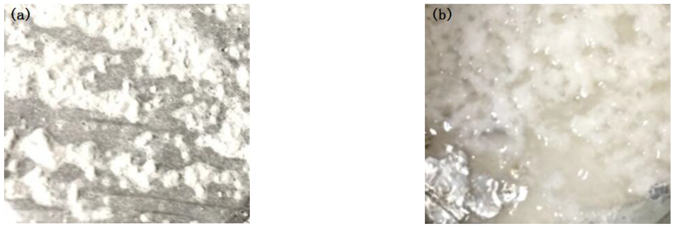 Polymers 15 00913 g013 550