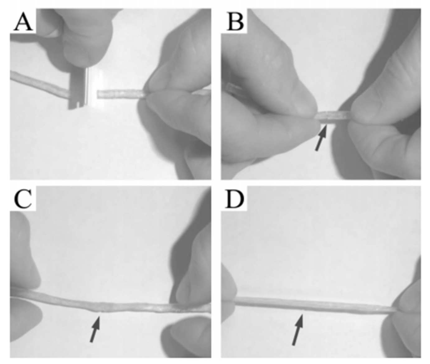 Polymers 15 00918 g008 550