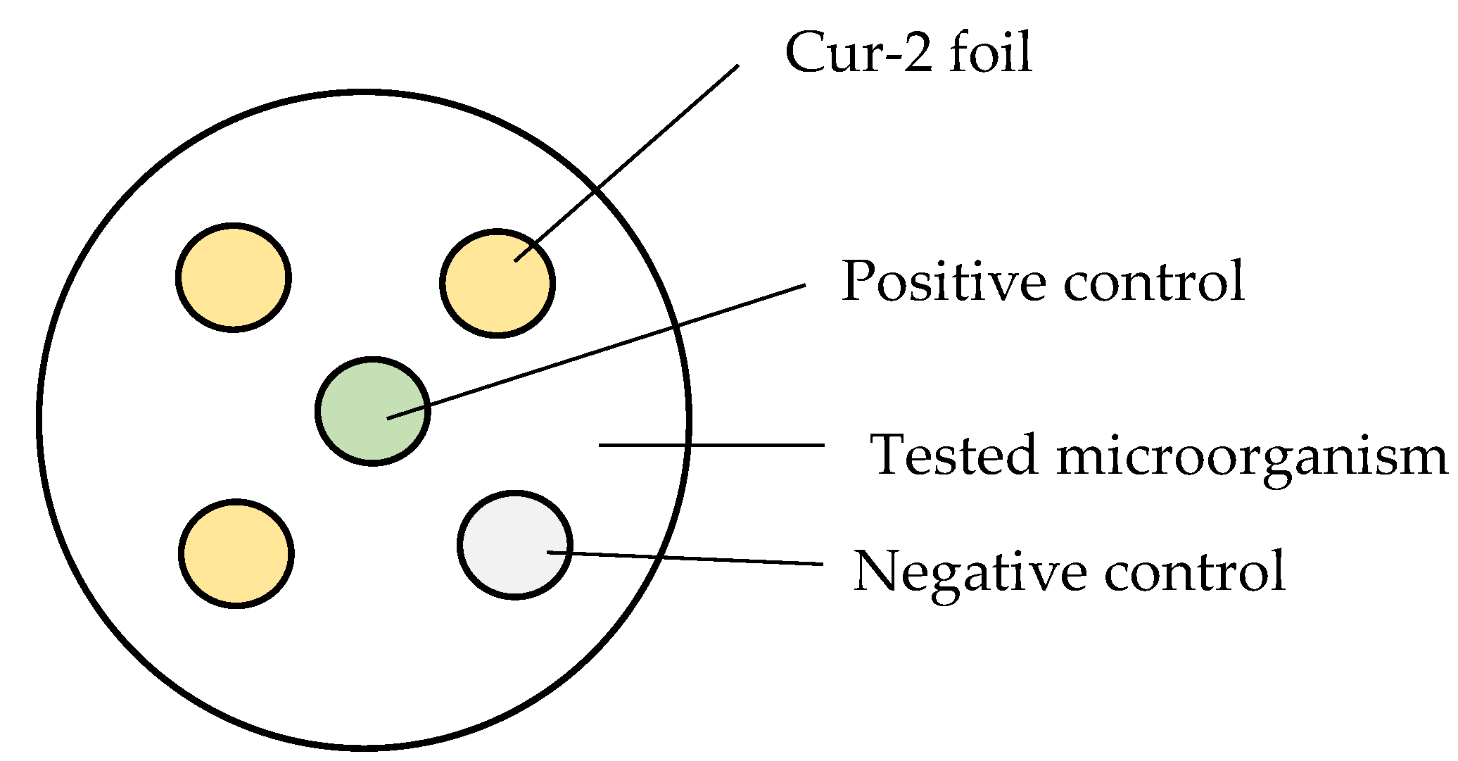 Polymers 15 00919 g001