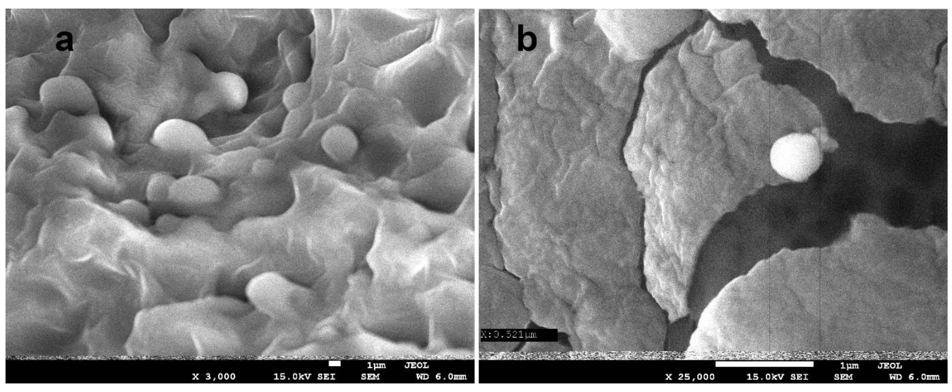 Polymers 15 00919 g008