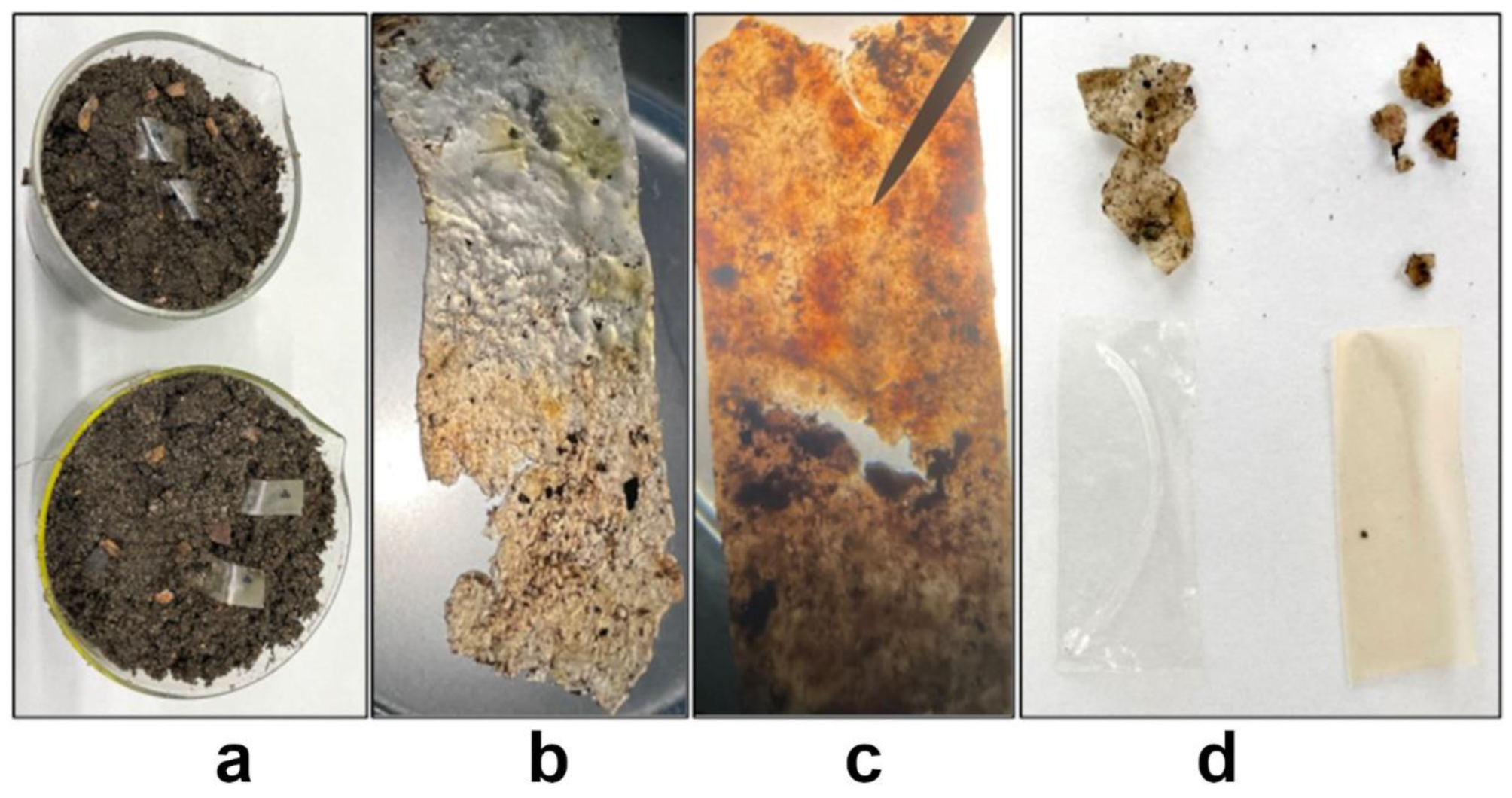 Polymers 15 00919 g009