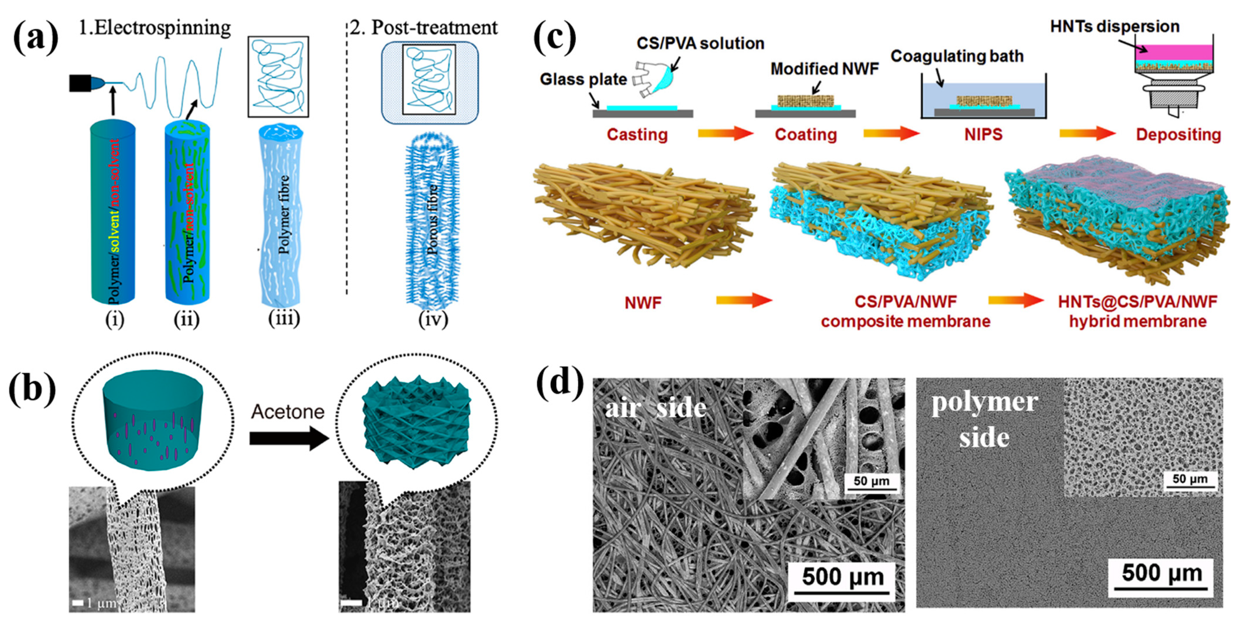 Polymers 15 00921 g004
