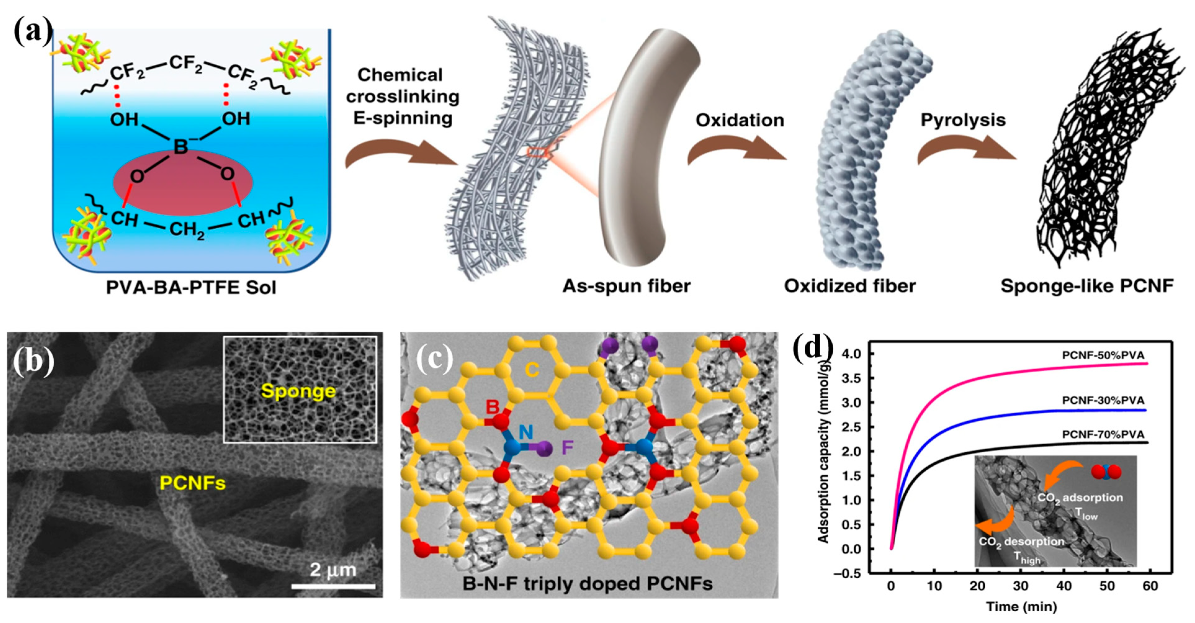 Polymers 15 00921 g005