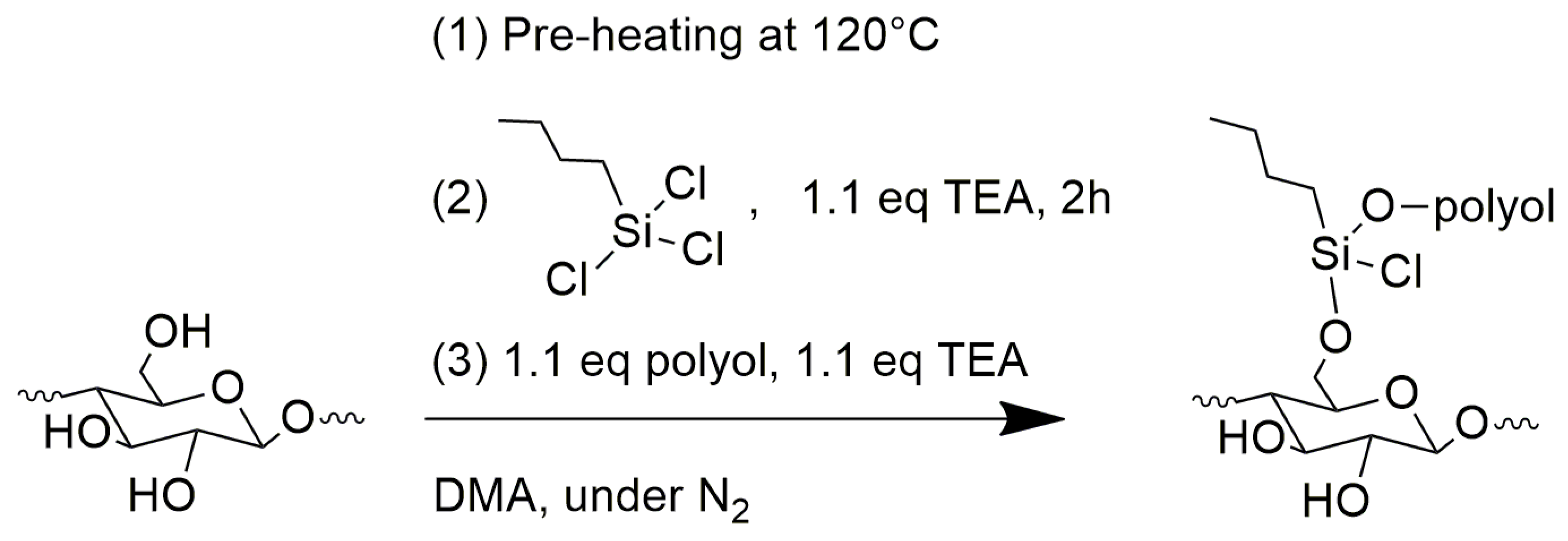 Polymers 15 00923 sch002 Polymers 15 00923 sch002