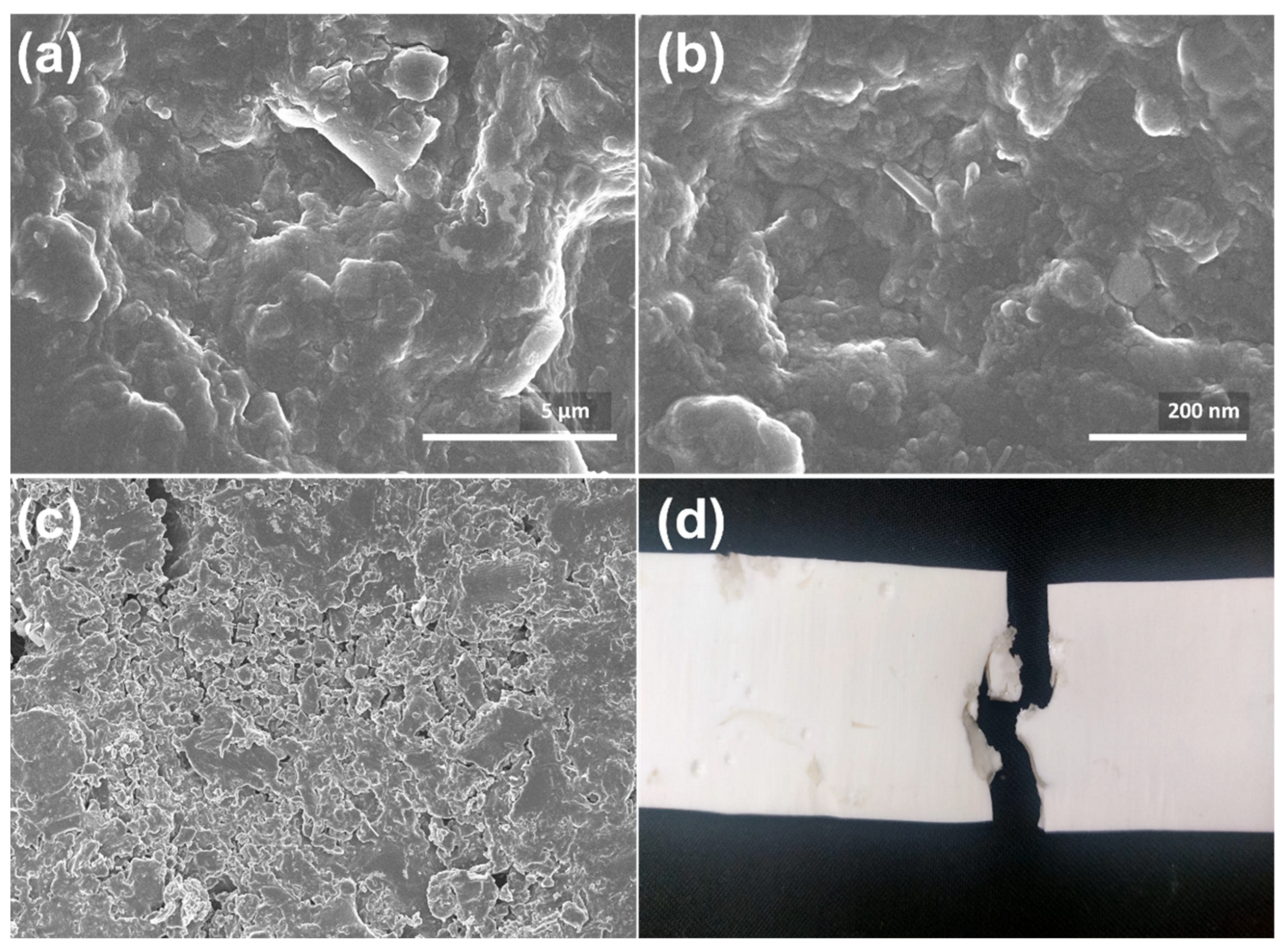 Polymers 15 00934 g007