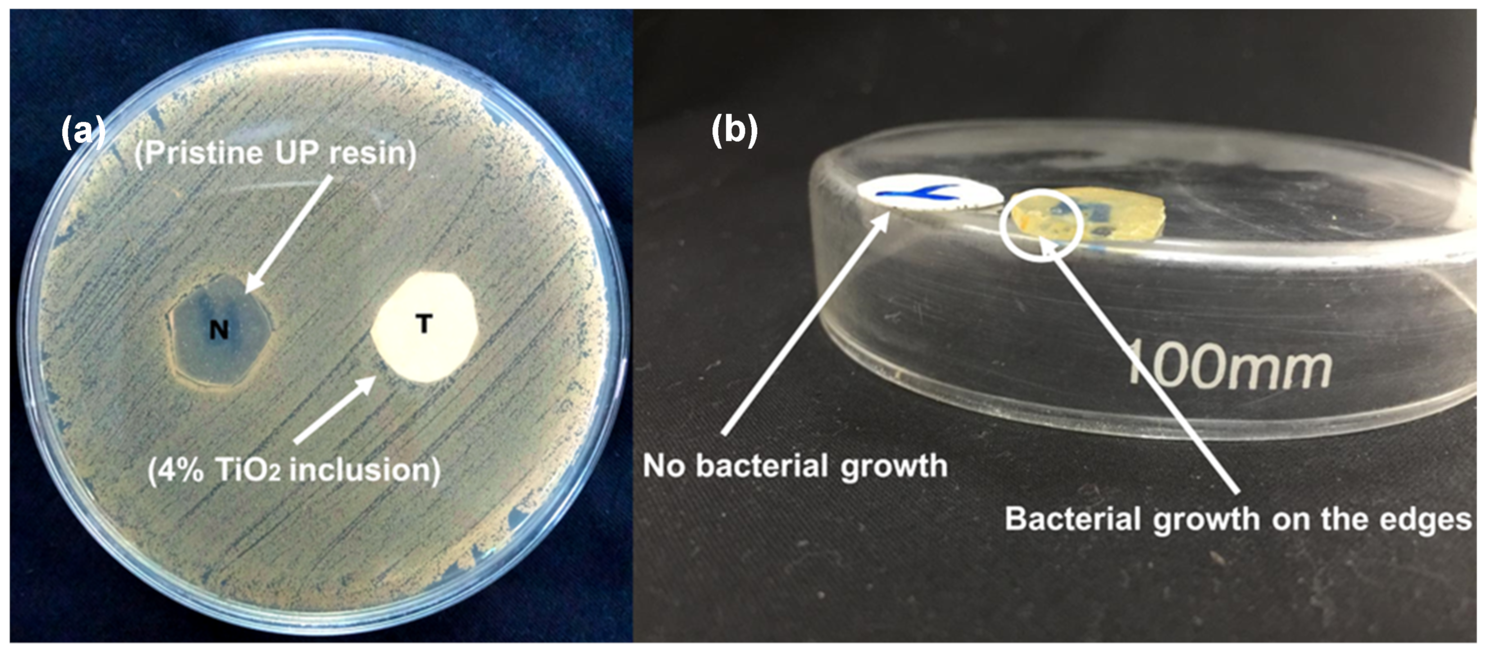Polymers 15 00934 g008