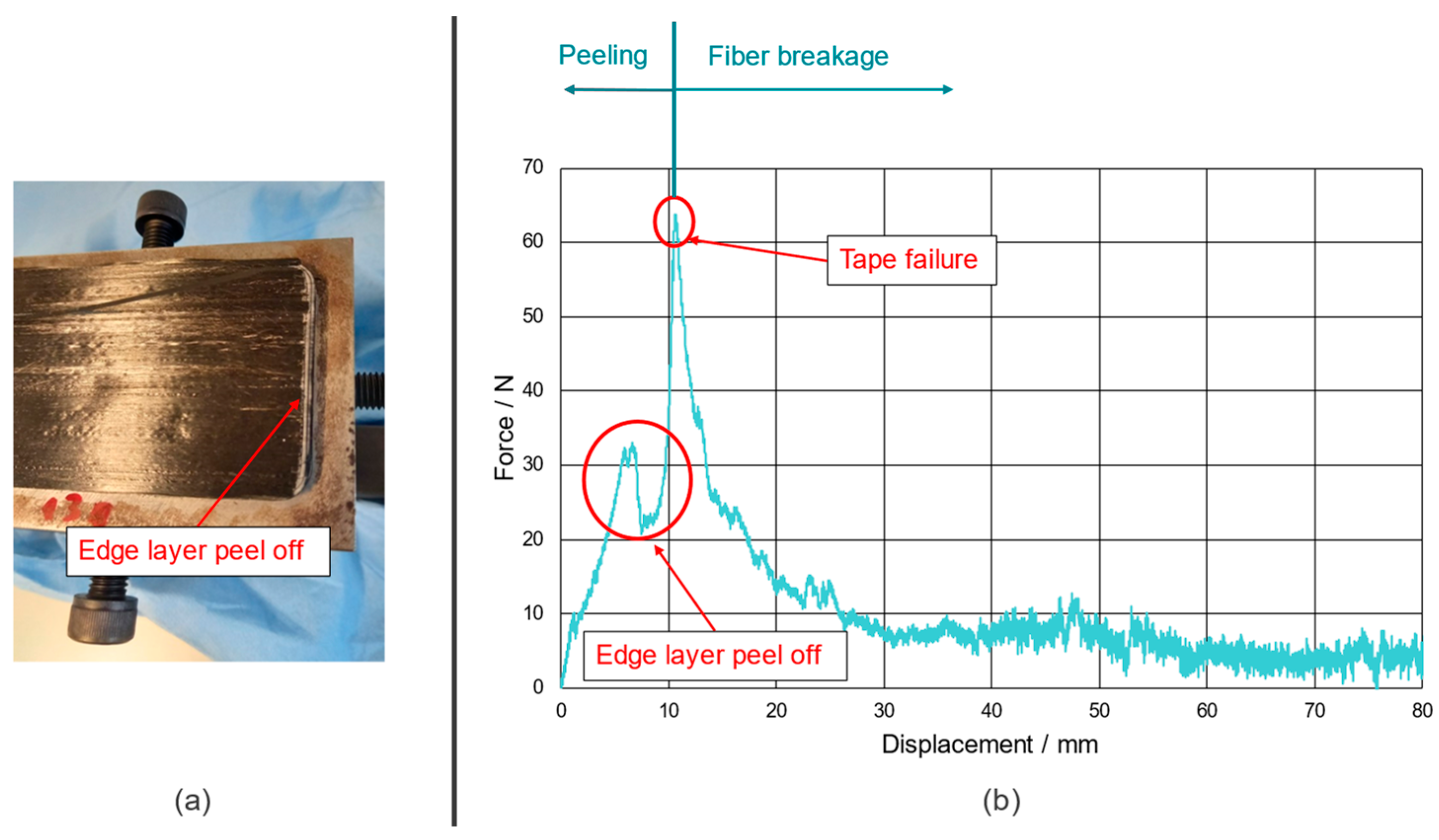 Polymers 15 00935 g001 550