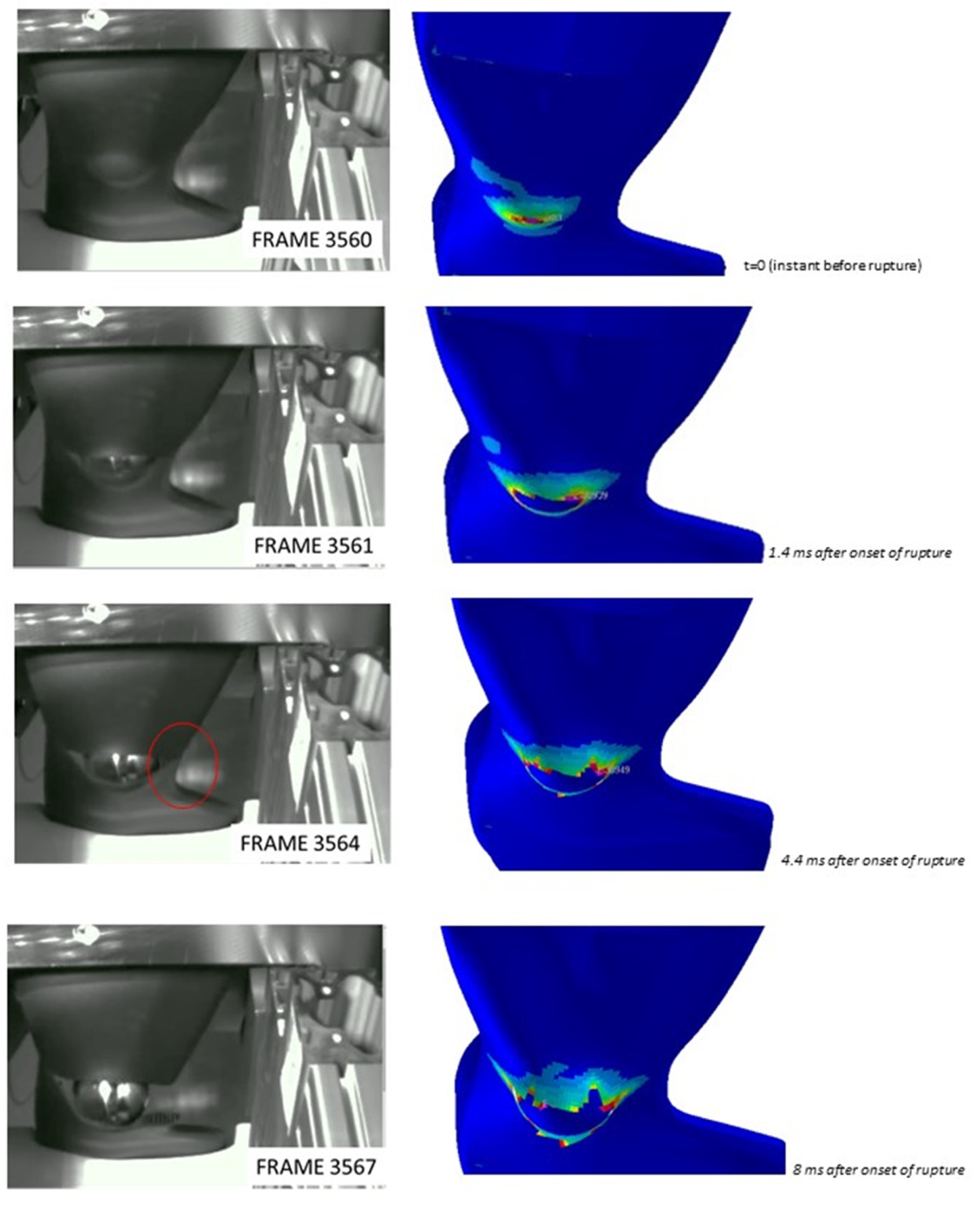 Polymers 15 00936 g010