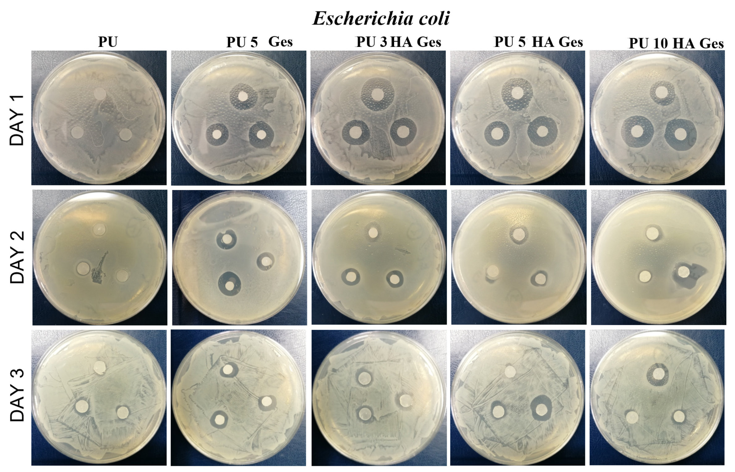 Polymers 15 00938 g008b Polymers 15 00938 g008b