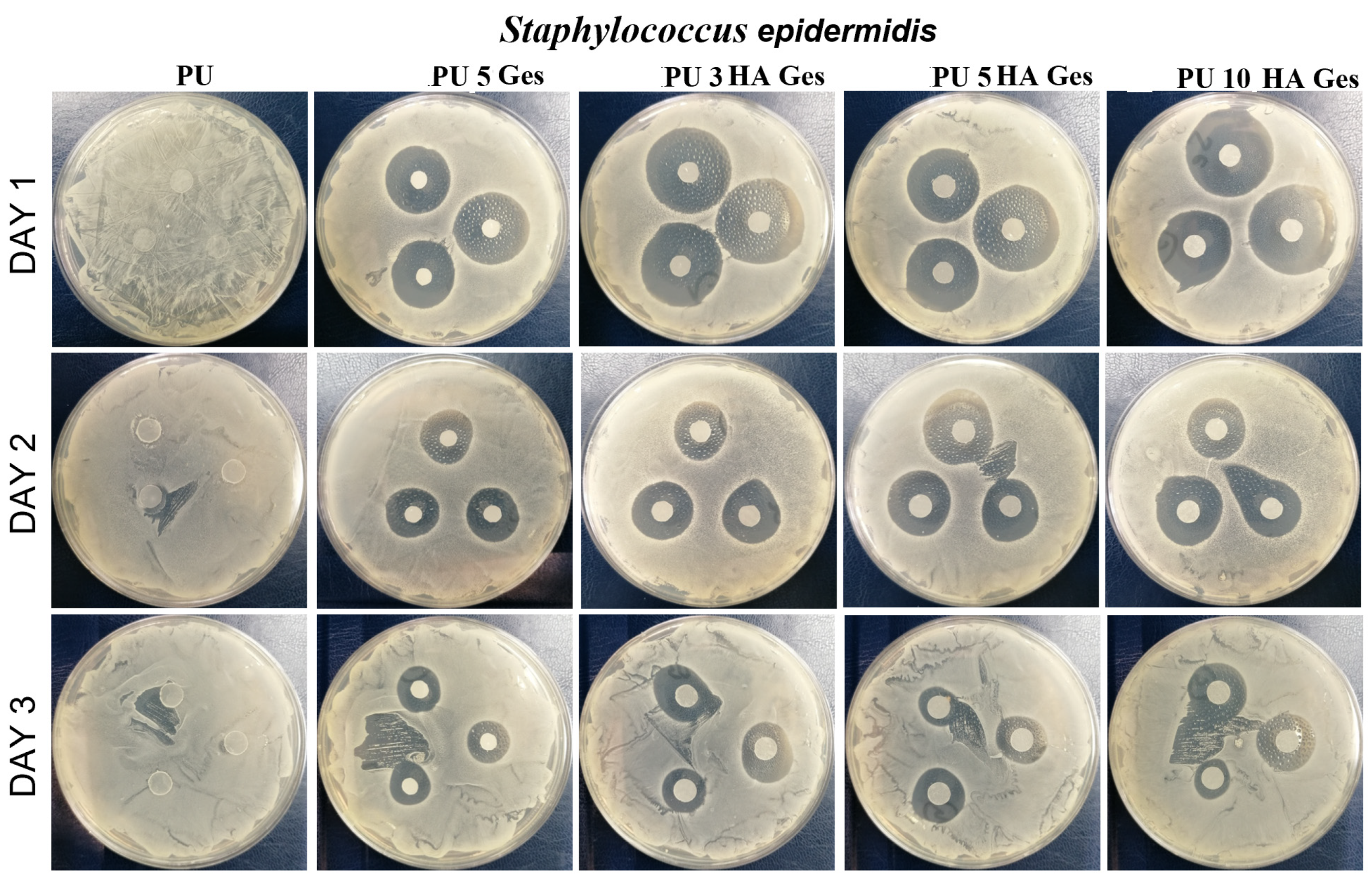 Polymers 15 00938 g009b Polymers 15 00938 g009b