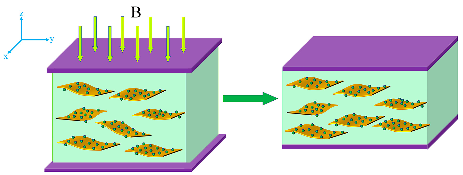 Polymers 15 00941 g021 550