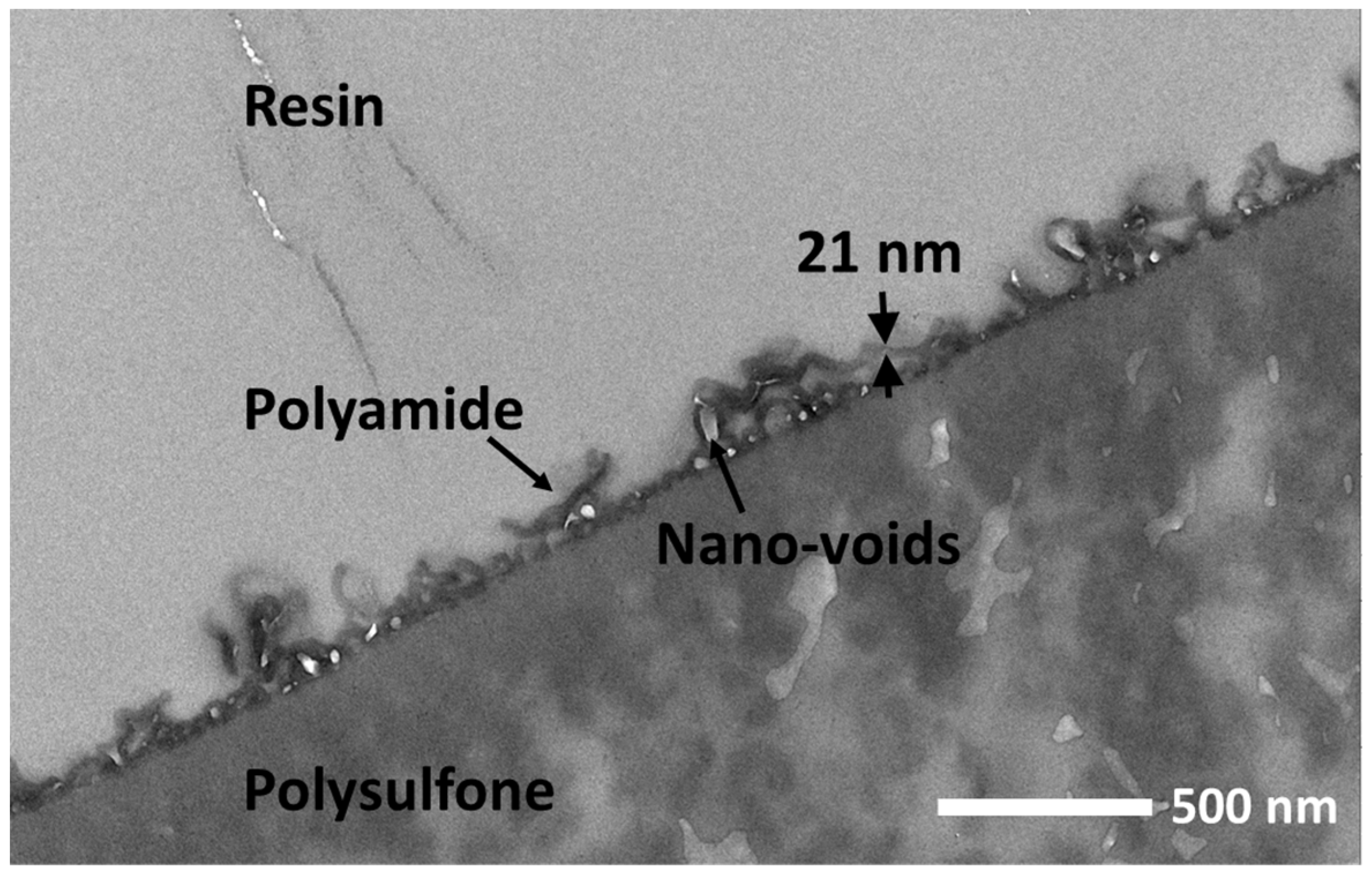 Polymers 15 00944 g004