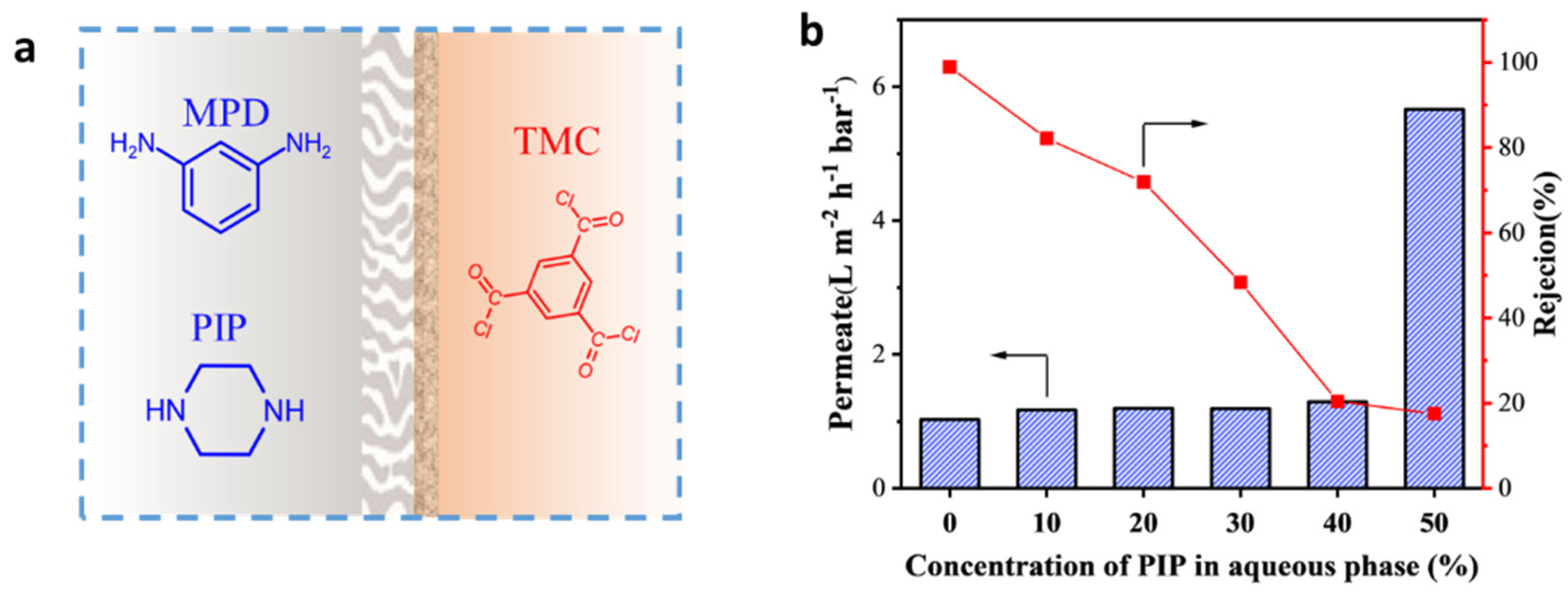 Polymers 15 00944 g006