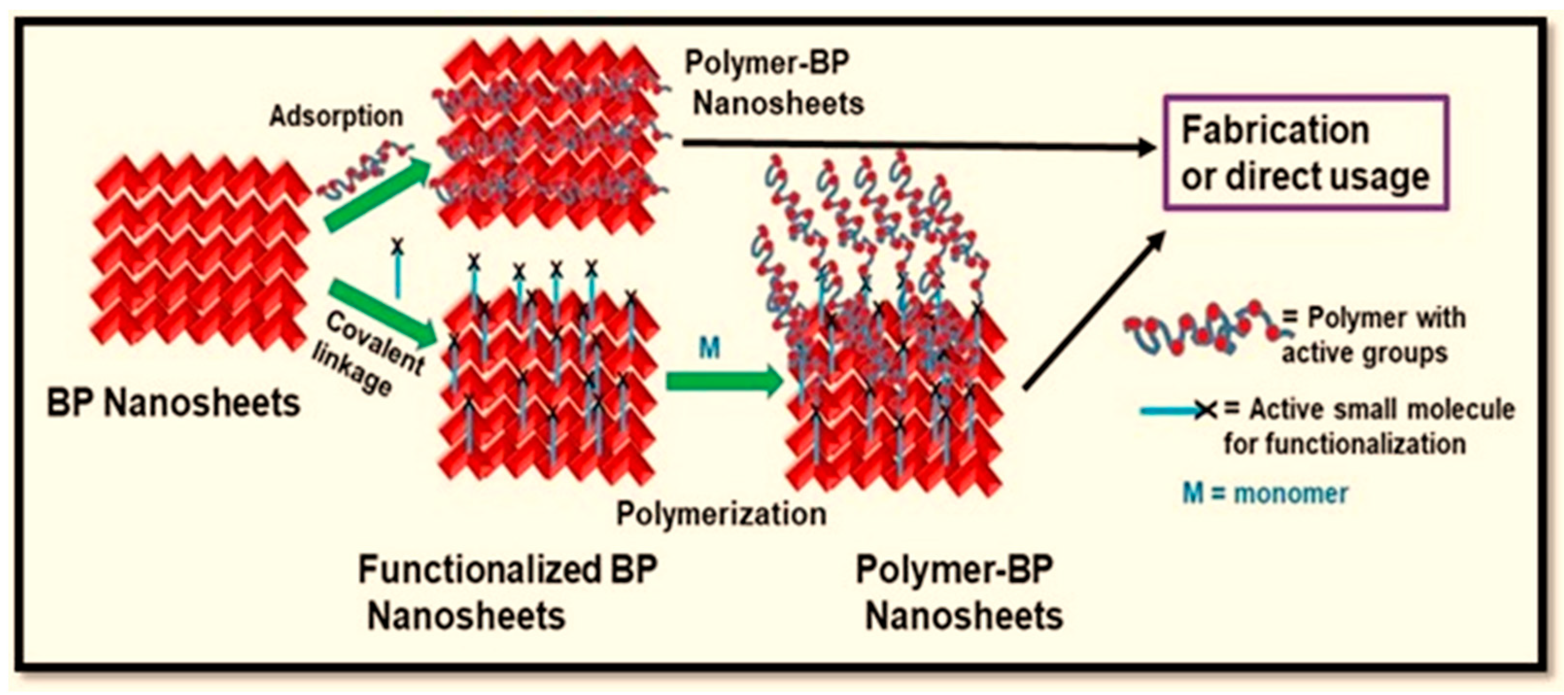 Polymers 15 00947 g004 Polymers 15 00947 g004