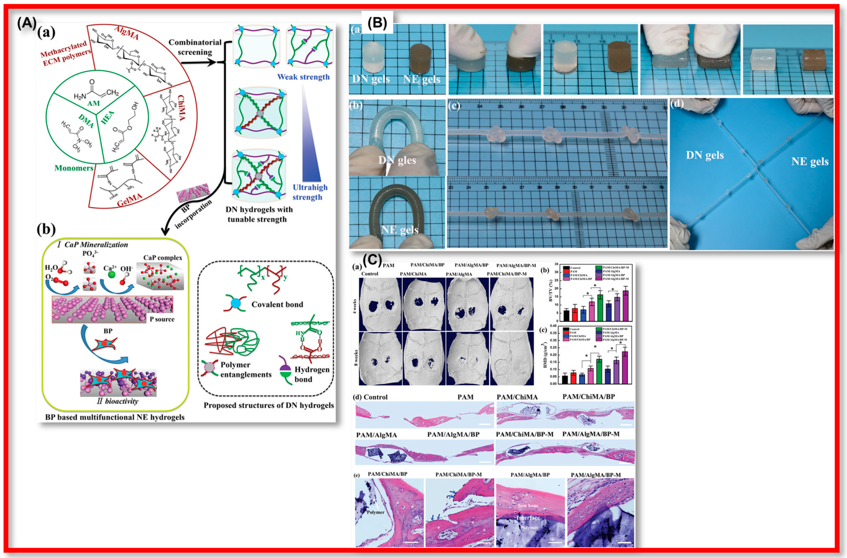 Polymers 15 00947 g023 Polymers 15 00947 g023
