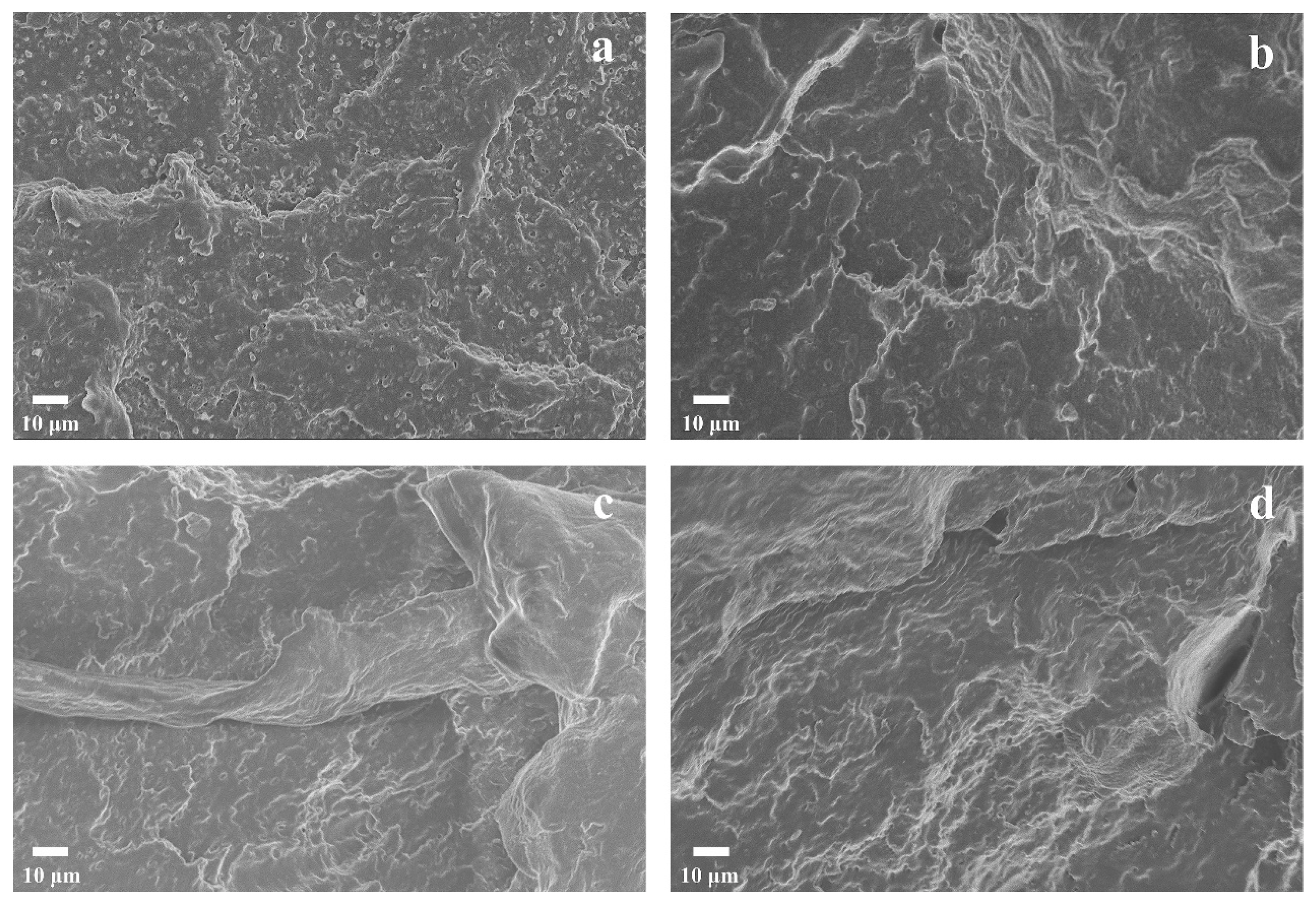Polymers 15 00952 g009