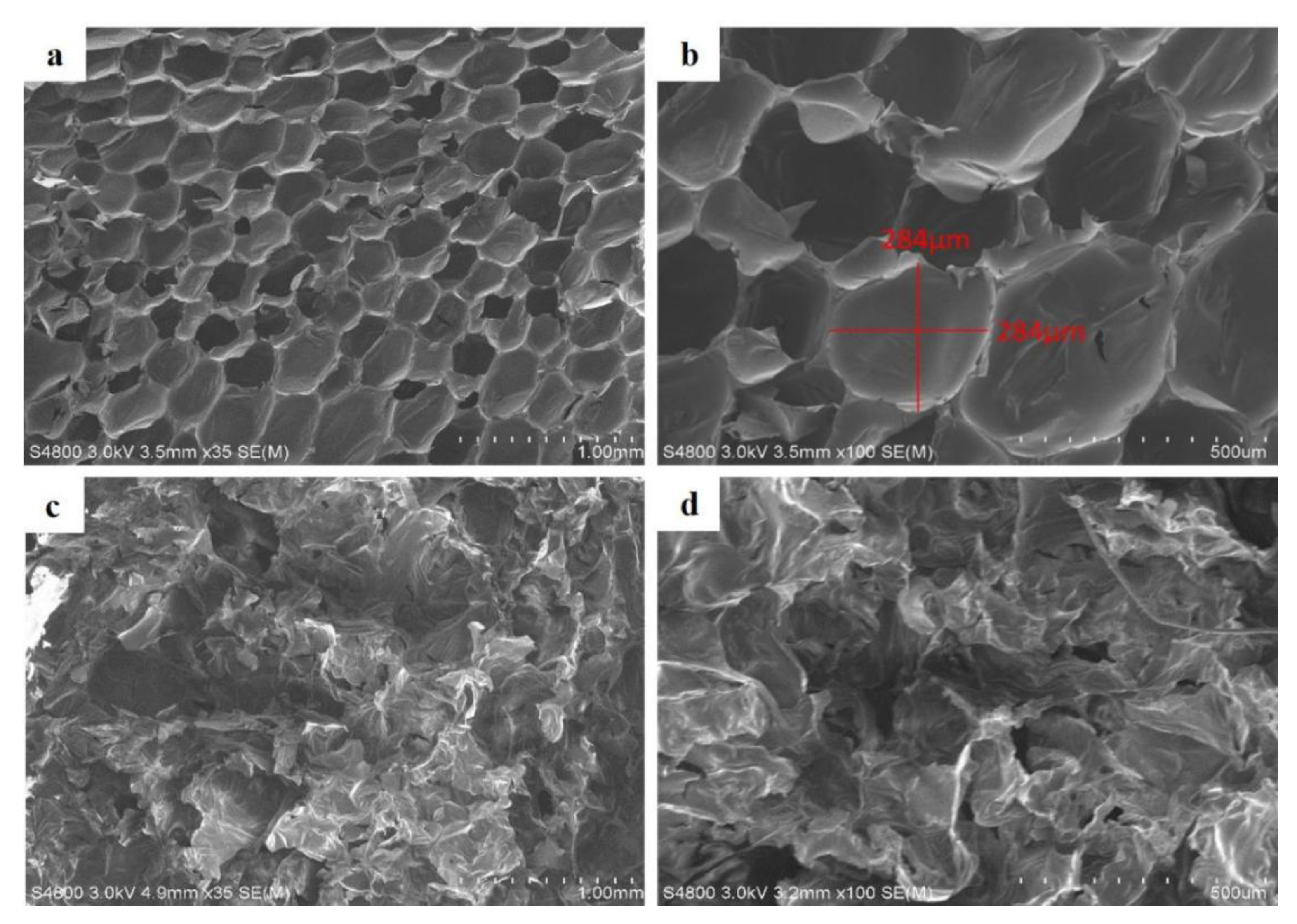 Polymers 15 00953 g008