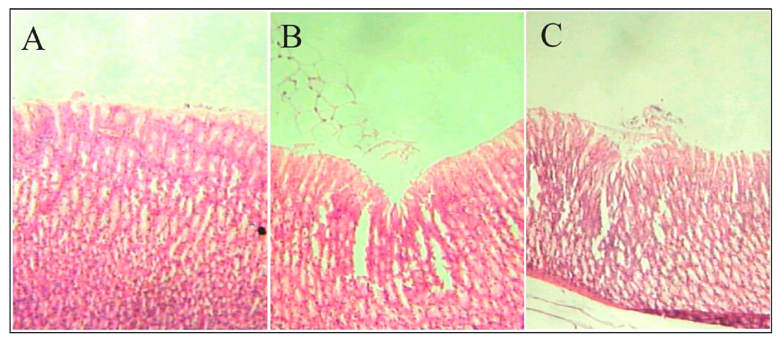 Polymers 15 00954 g005 Polymers 15 00954 g005