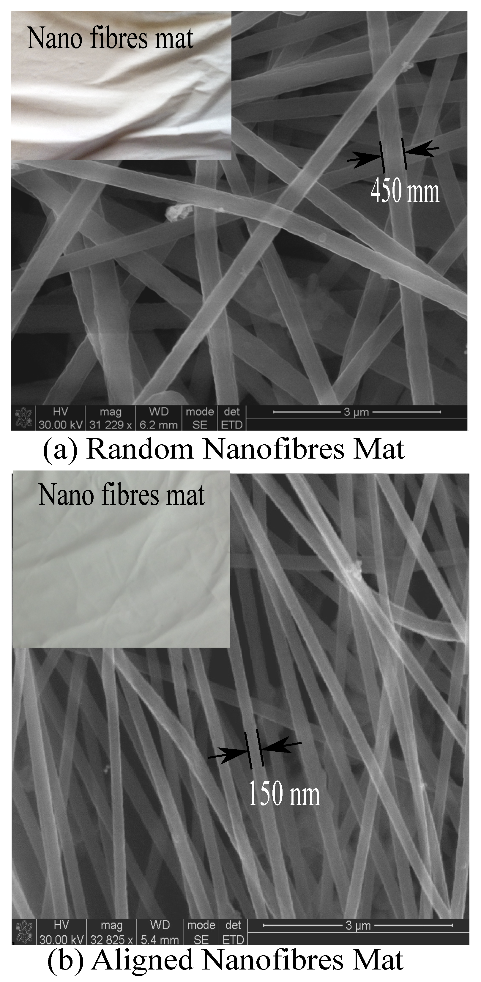 Polymers 15 00957 g004