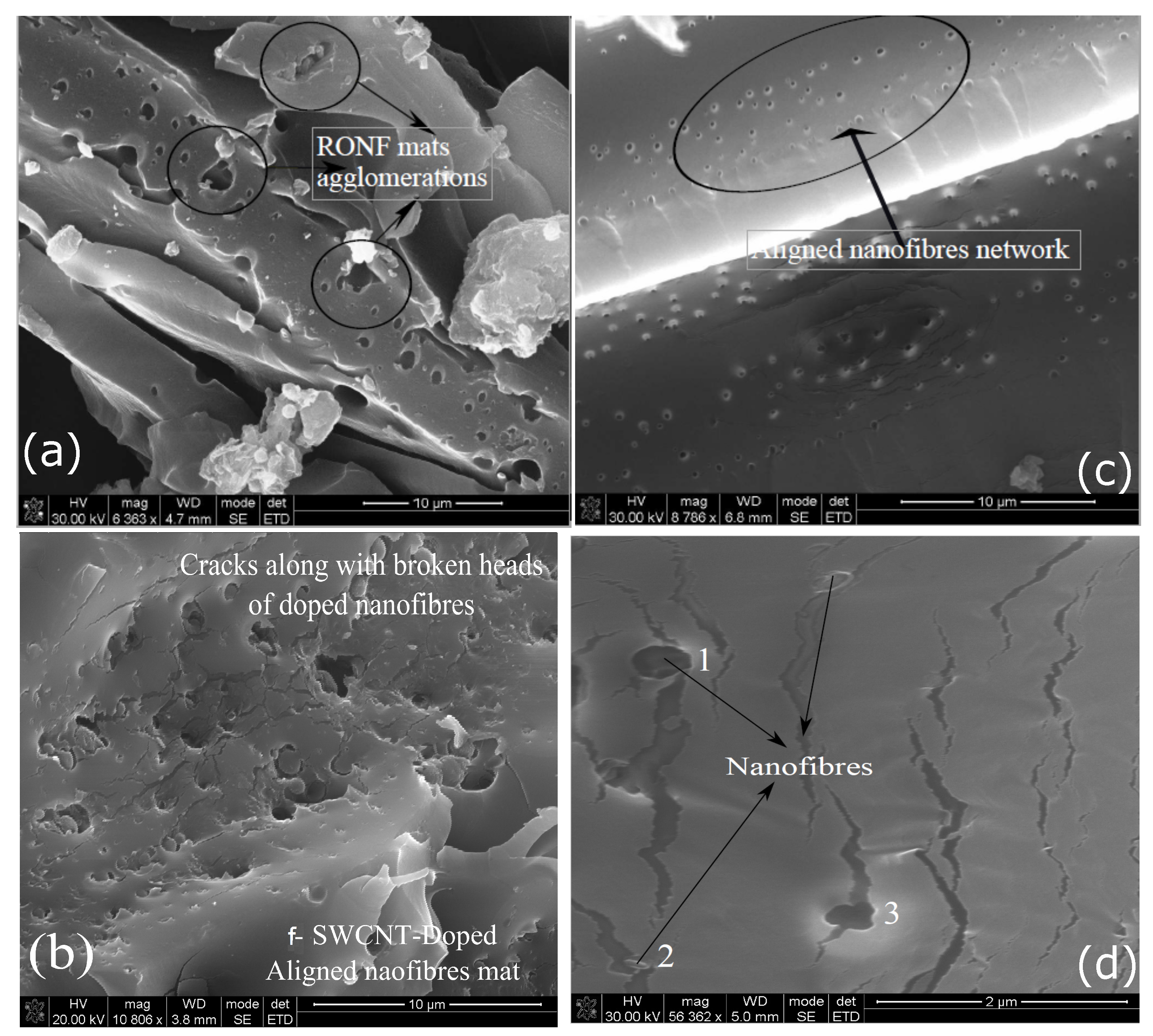 Polymers 15 00957 g010