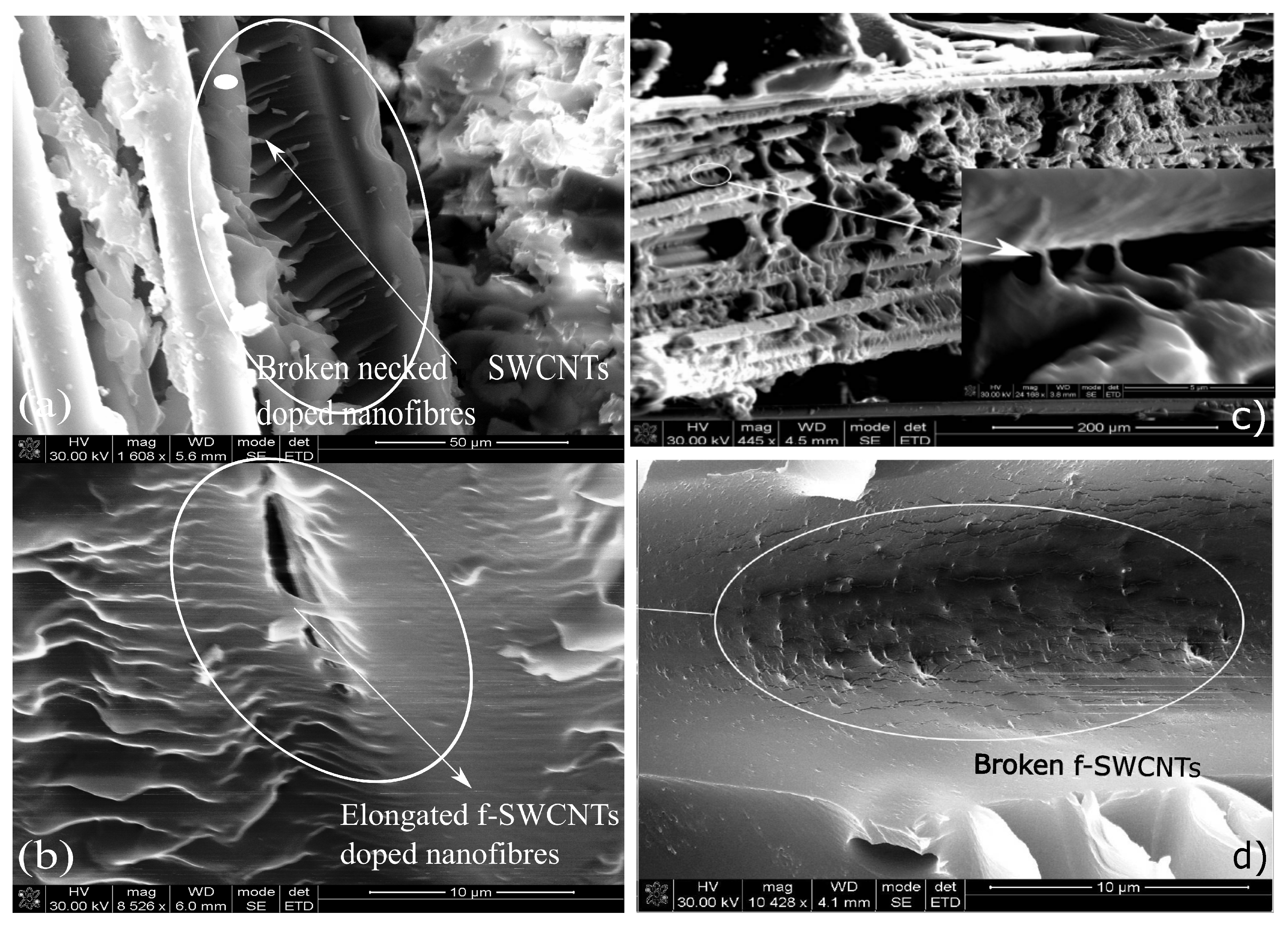 Polymers 15 00957 g011