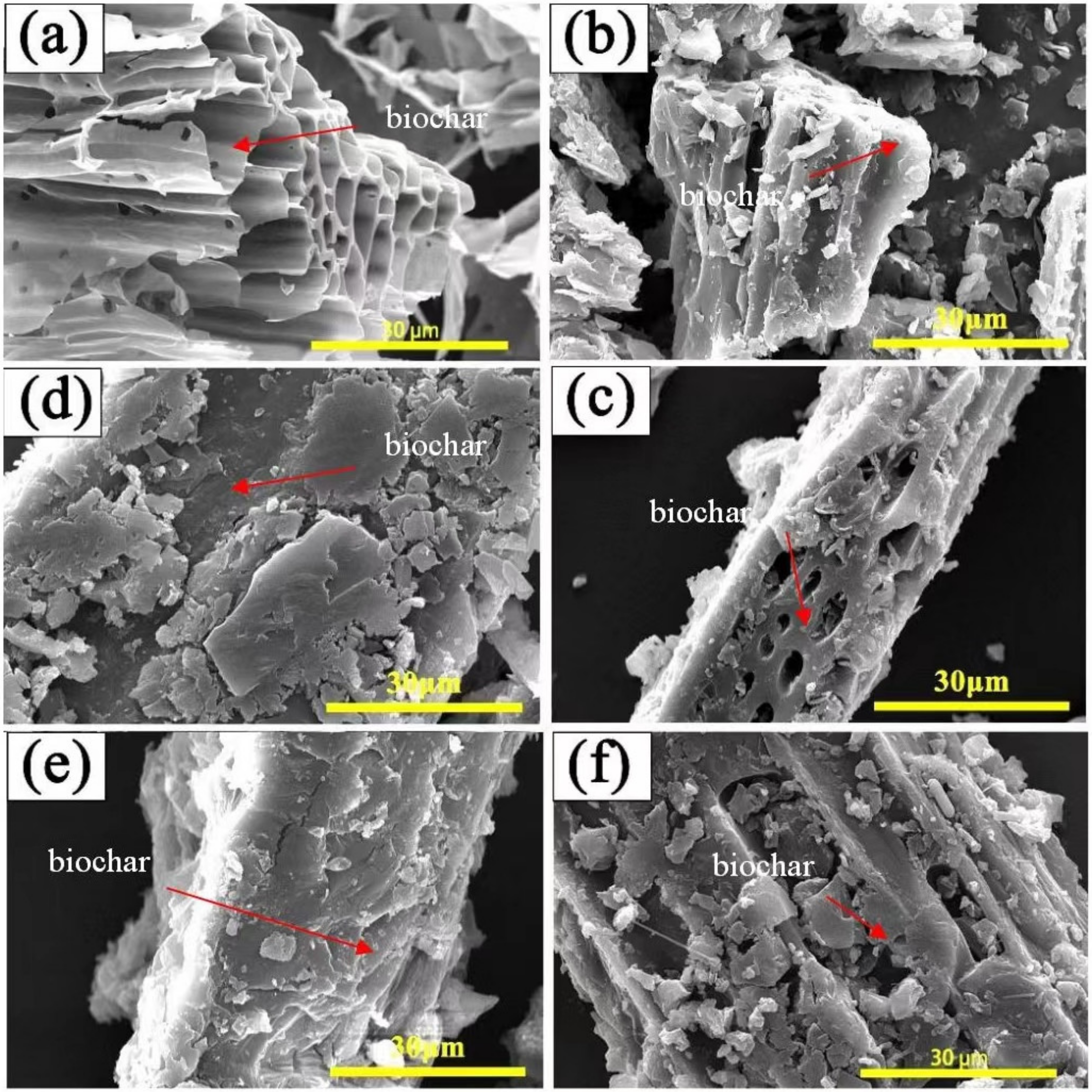 Polymers 15 00963 g005 Polymers 15 00963 g005