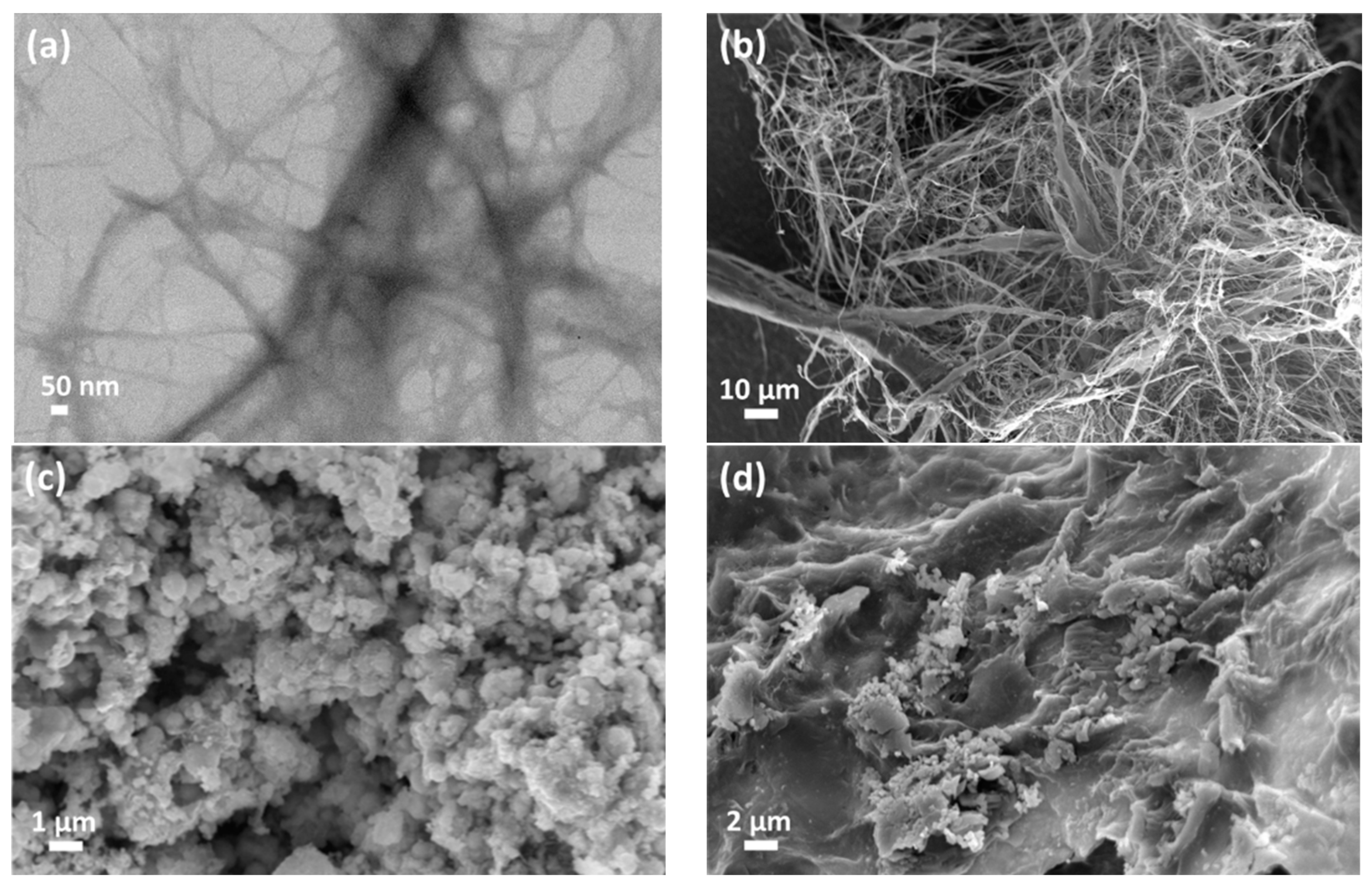 Polymers 15 00969 g001 Polymers 15 00969 g001