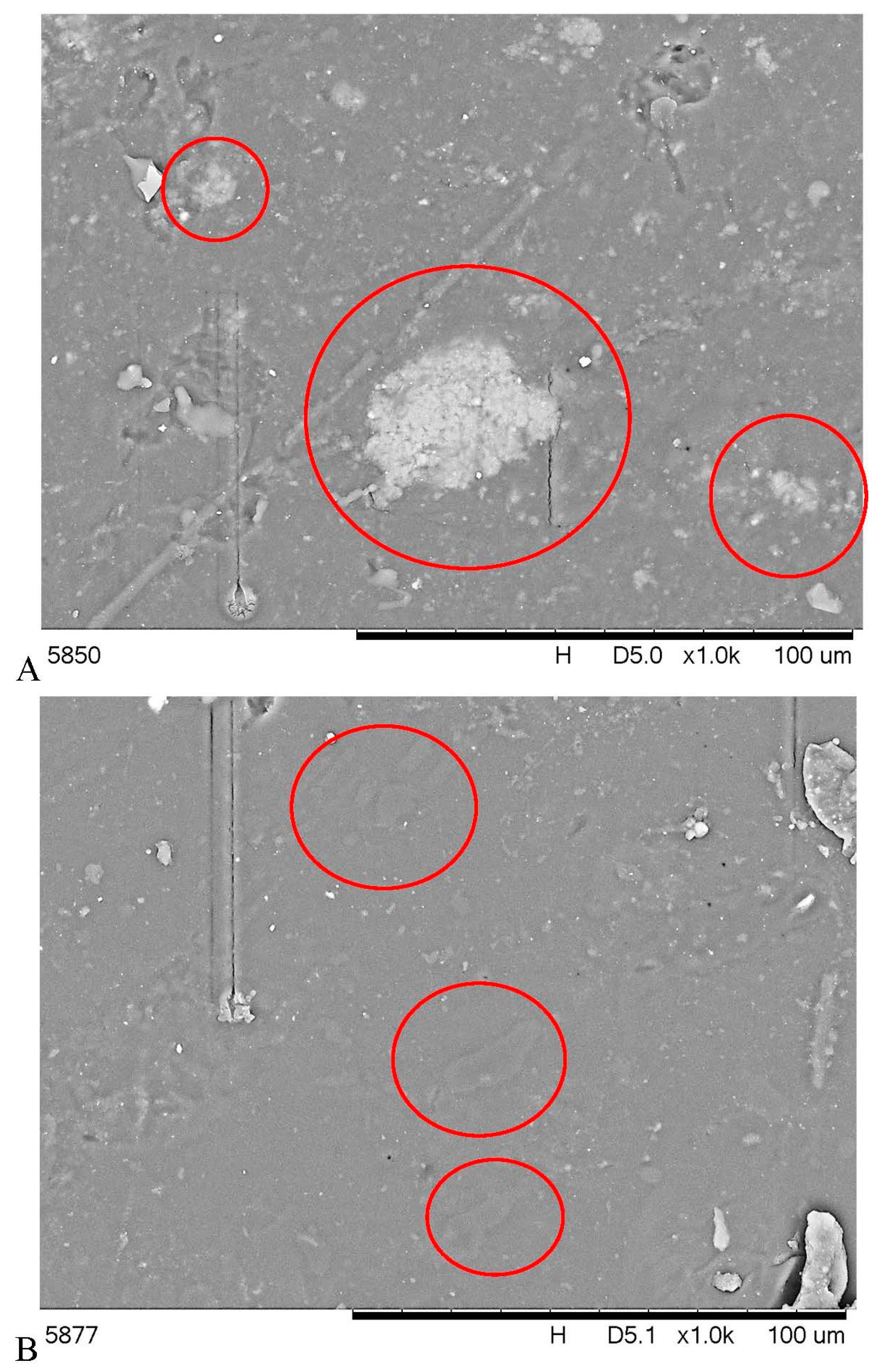 Polymers 15 00972 g002