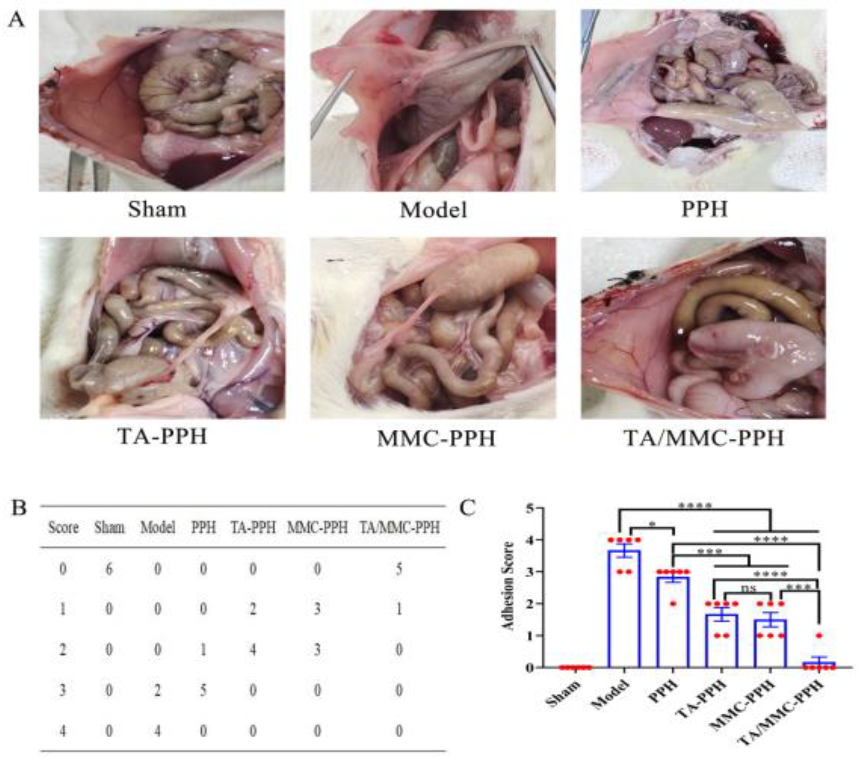 Polymers 15 00975 g004