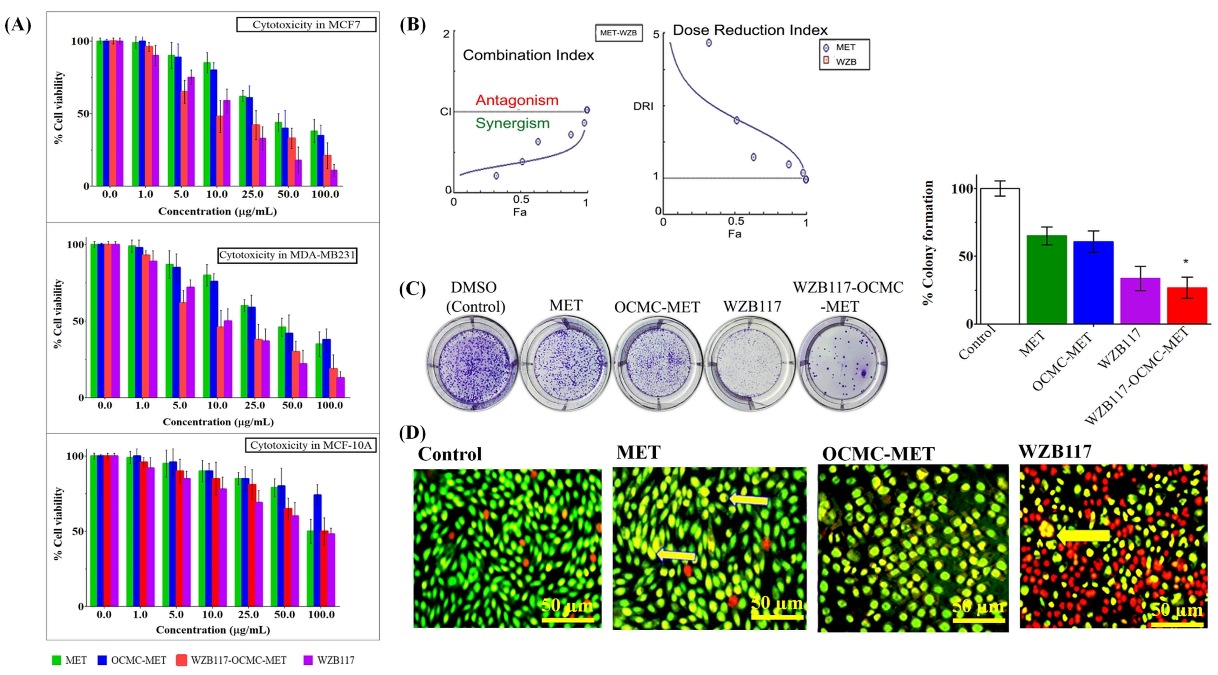 Polymers 15 00976 g004 Polymers 15 00976 g004