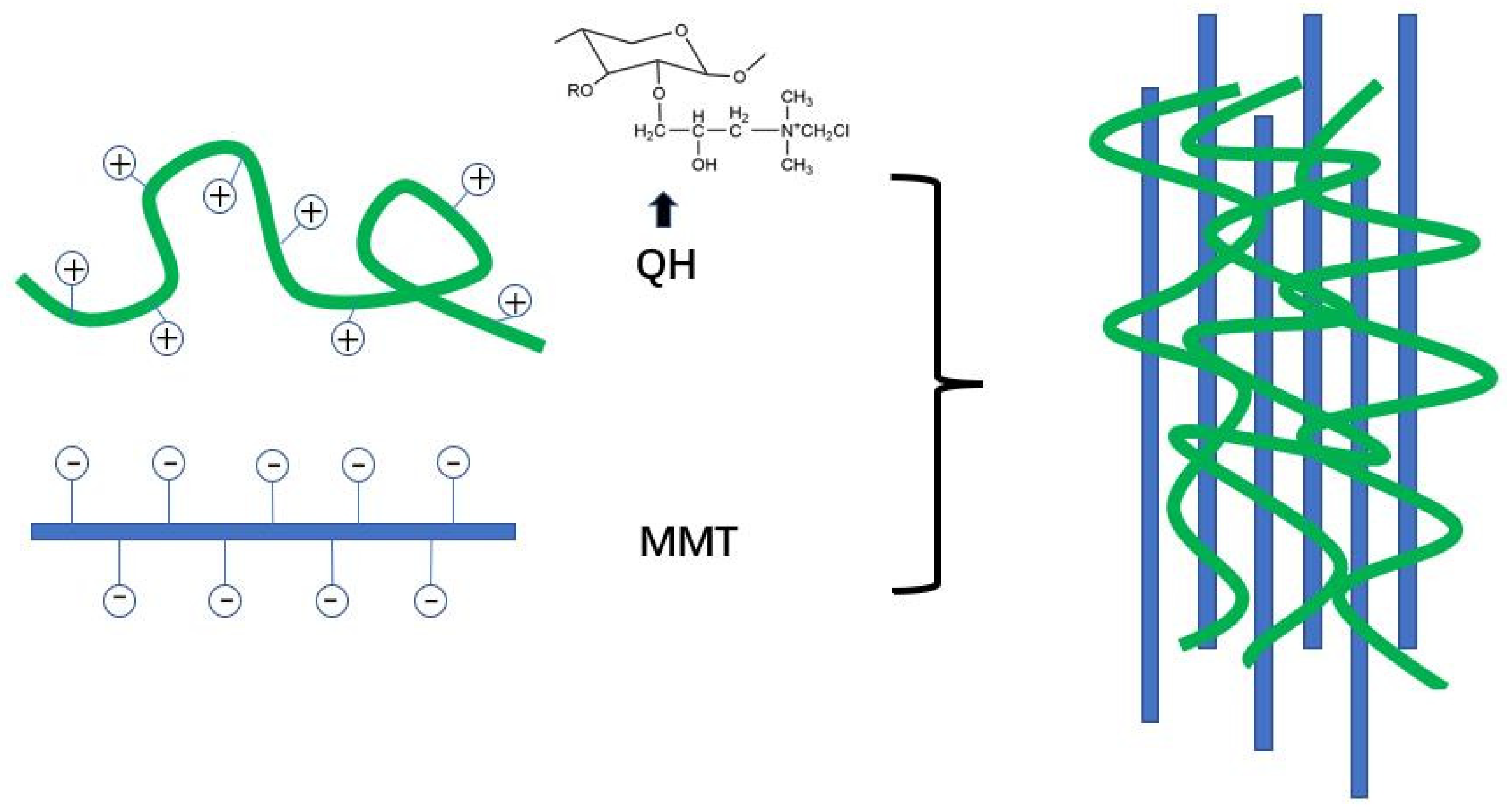 Polymers 15 00979 g005