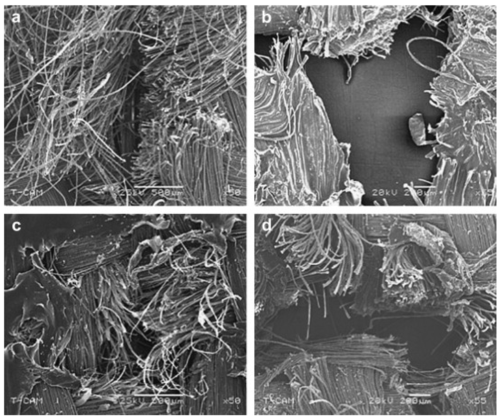 Polymers 15 00983 g007 Polymers 15 00983 g007
