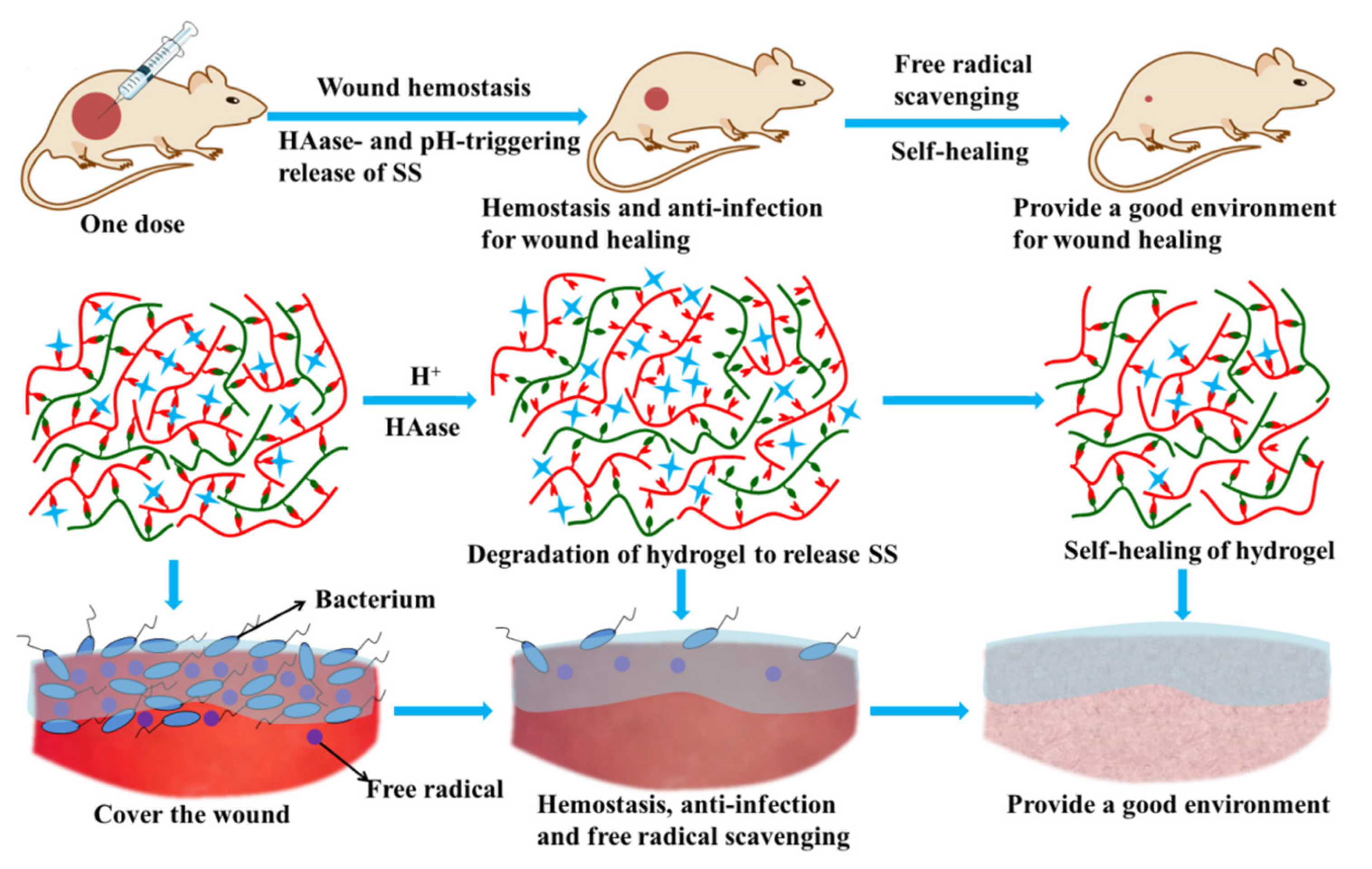Polymers 15 00986 g009 Polymers 15 00986 g009