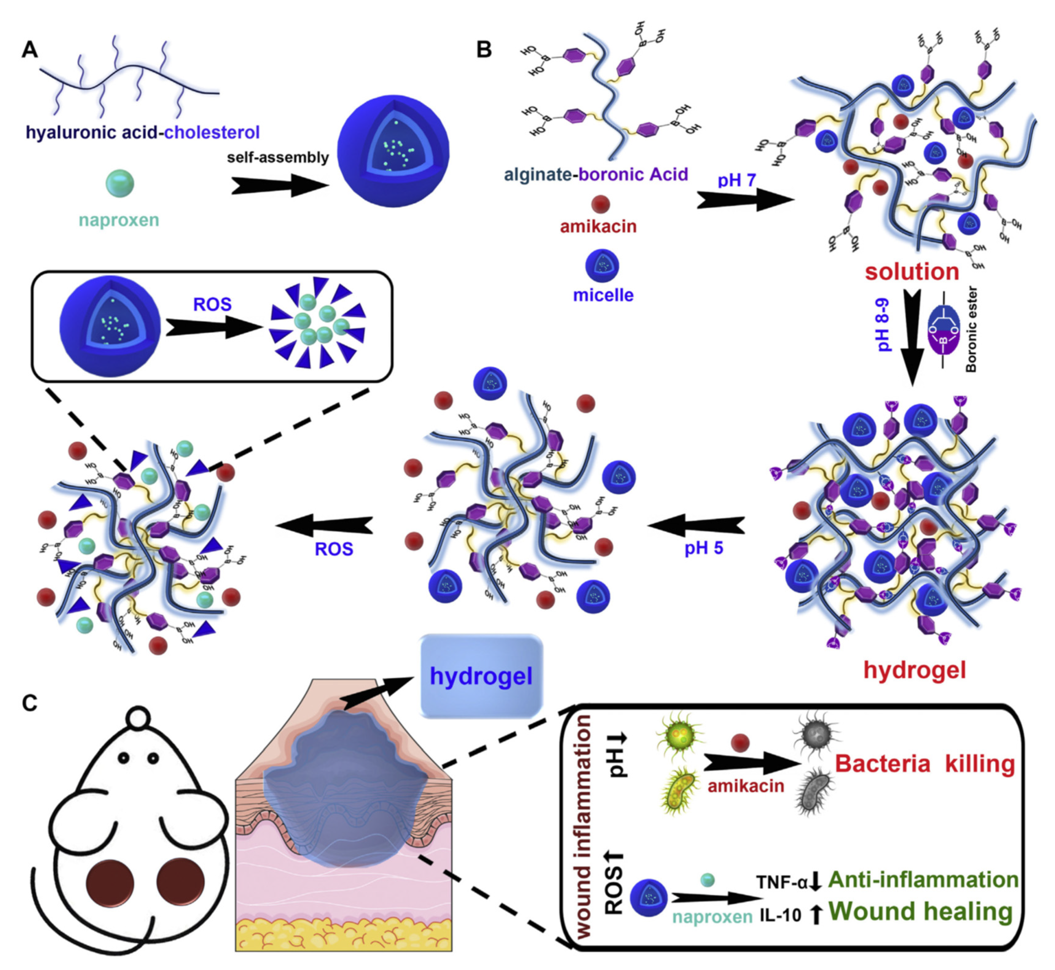 Polymers 15 00986 g010 Polymers 15 00986 g010