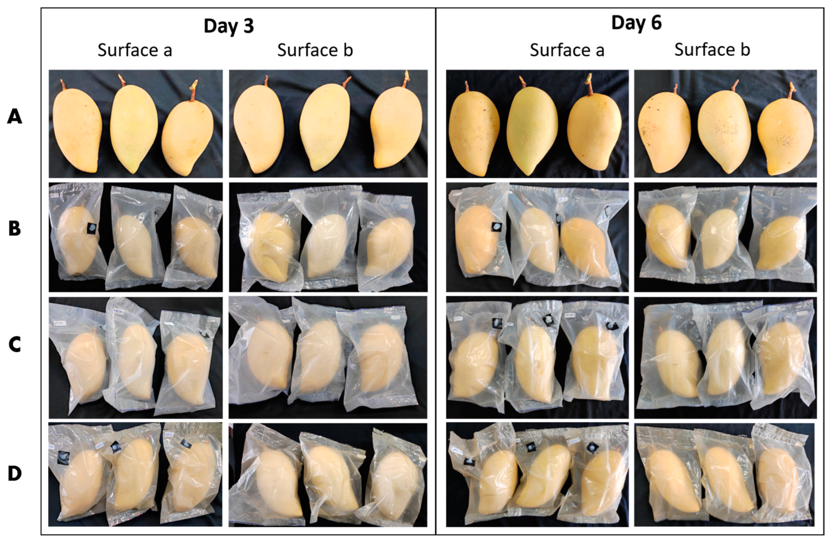 Polymers 15 00989 g008 Polymers 15 00989 g008
